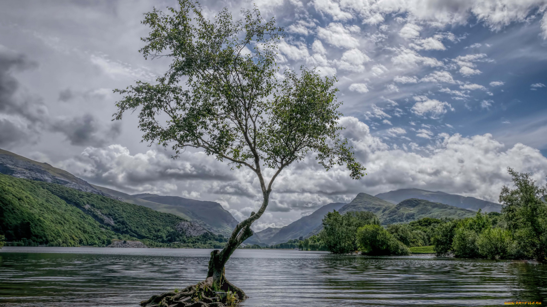 природа, реки, озера, простор