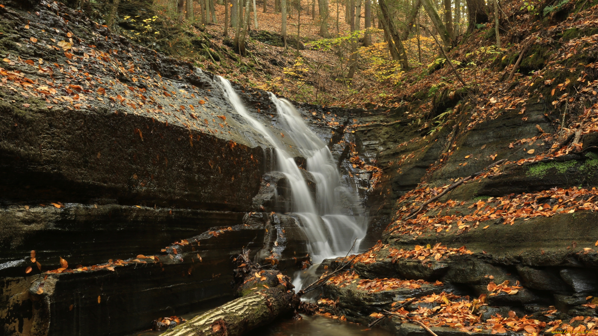 природа, водопады, скала, поток, лес