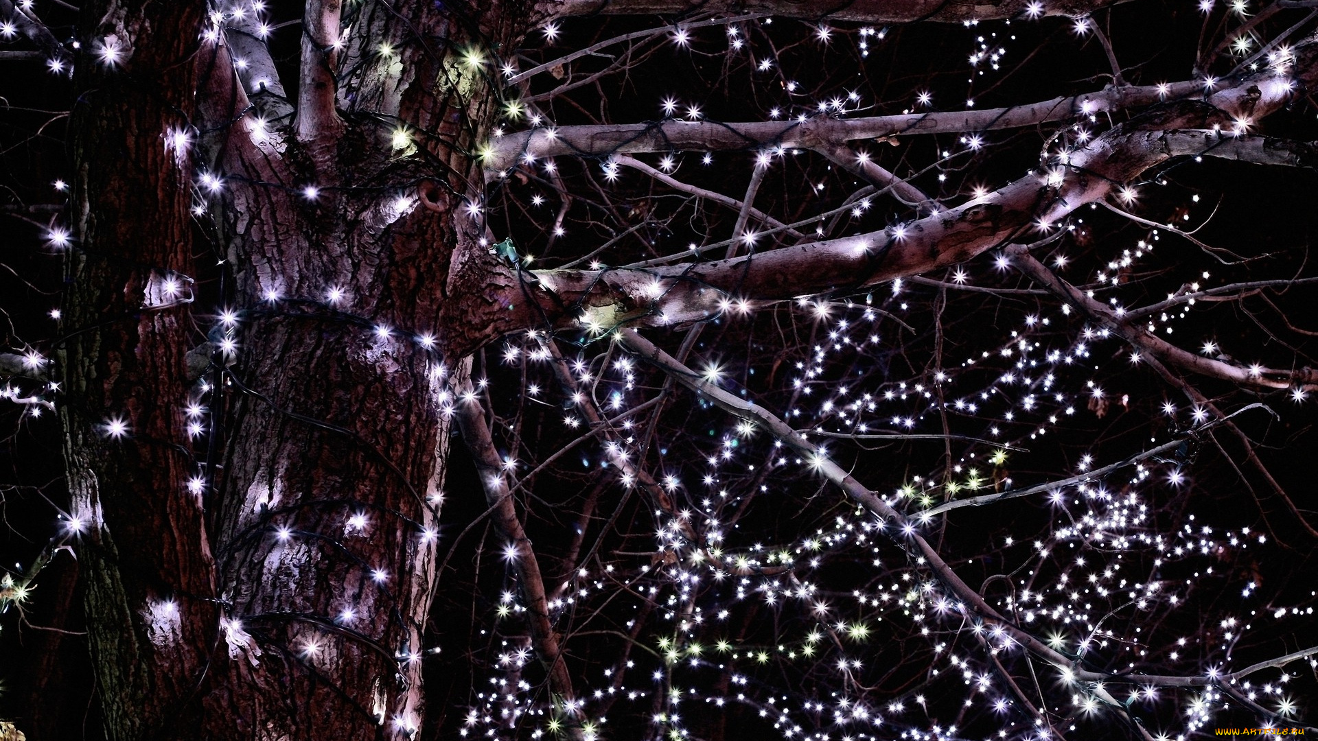 разное, иллюминация, дерево, гирлянда, огни