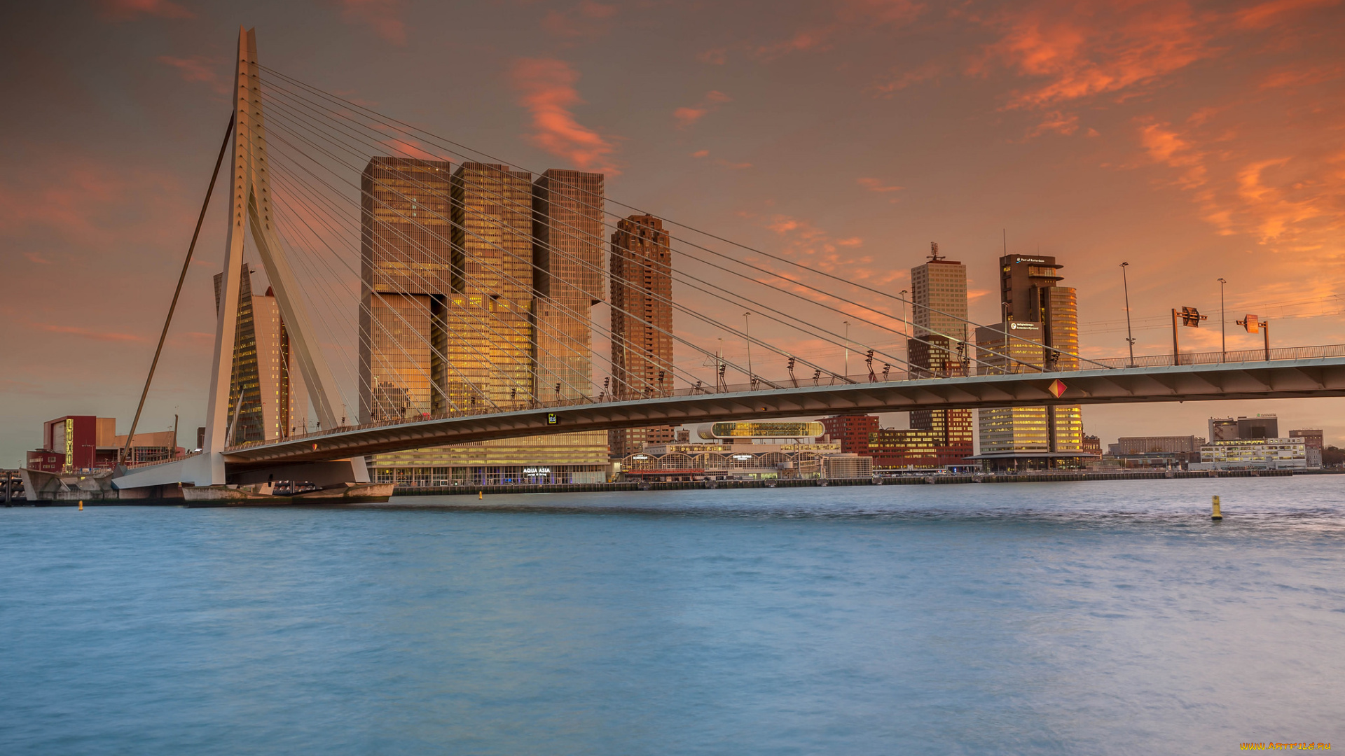 rotterdam, города, -, мосты, простор