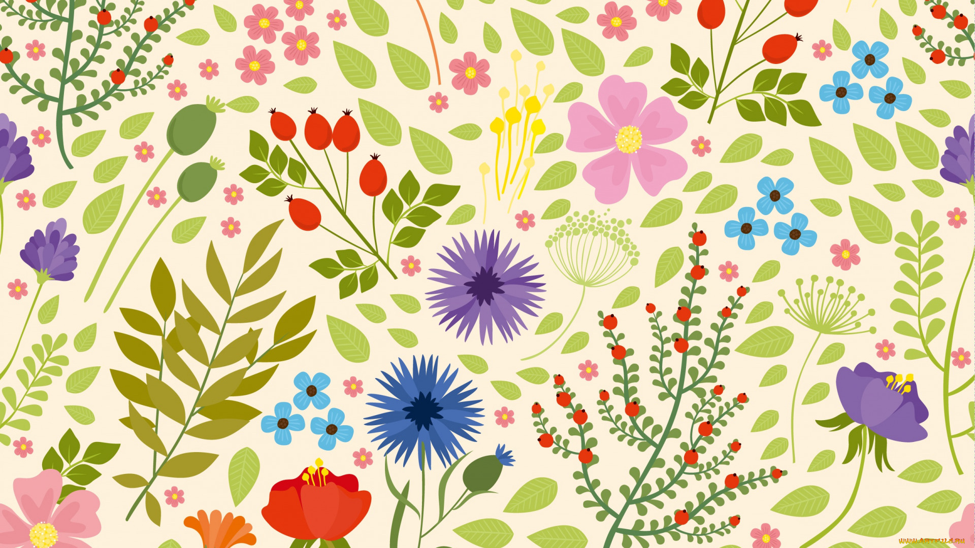 векторная, графика, цветы, , flowers, фон, цветы