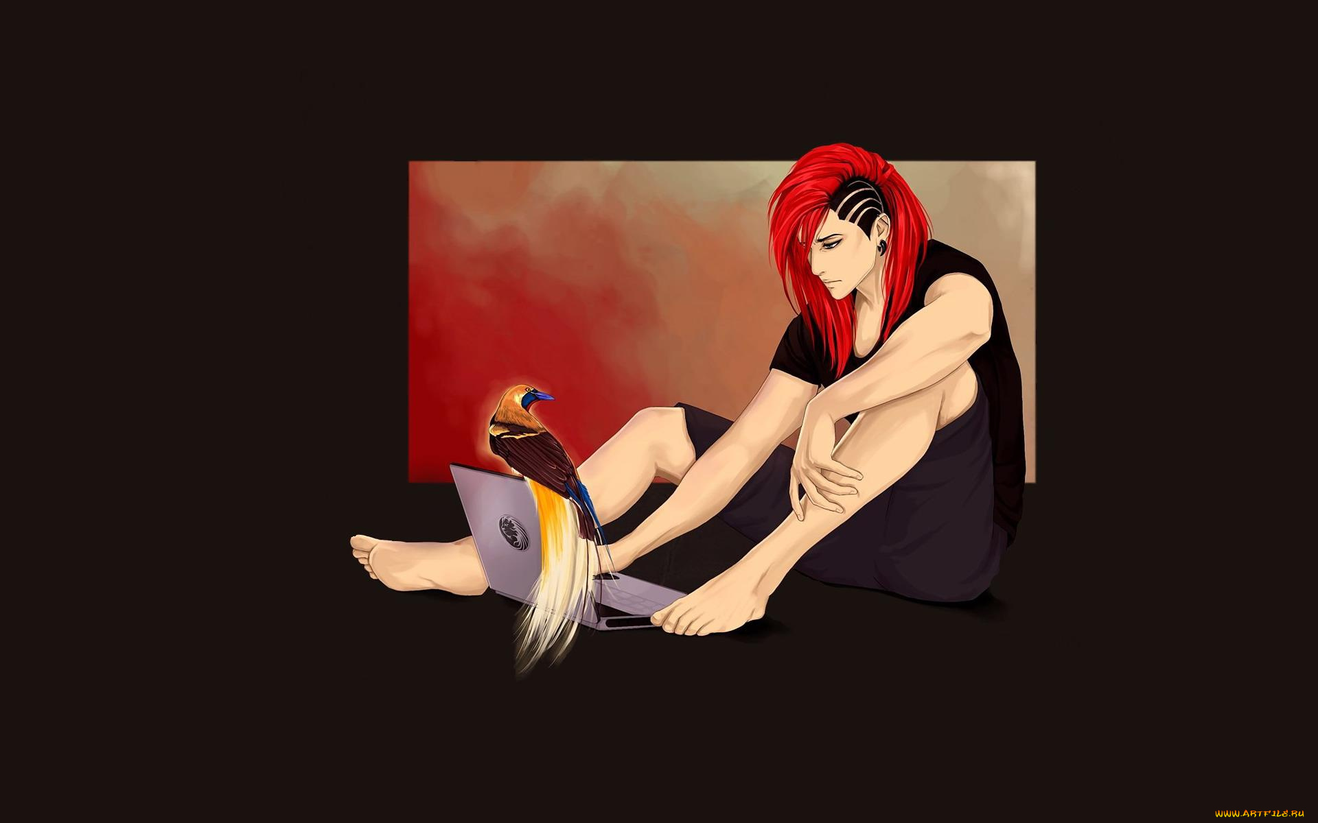 аниме, животные, , существа, ноутбук, птица, прическа, парень