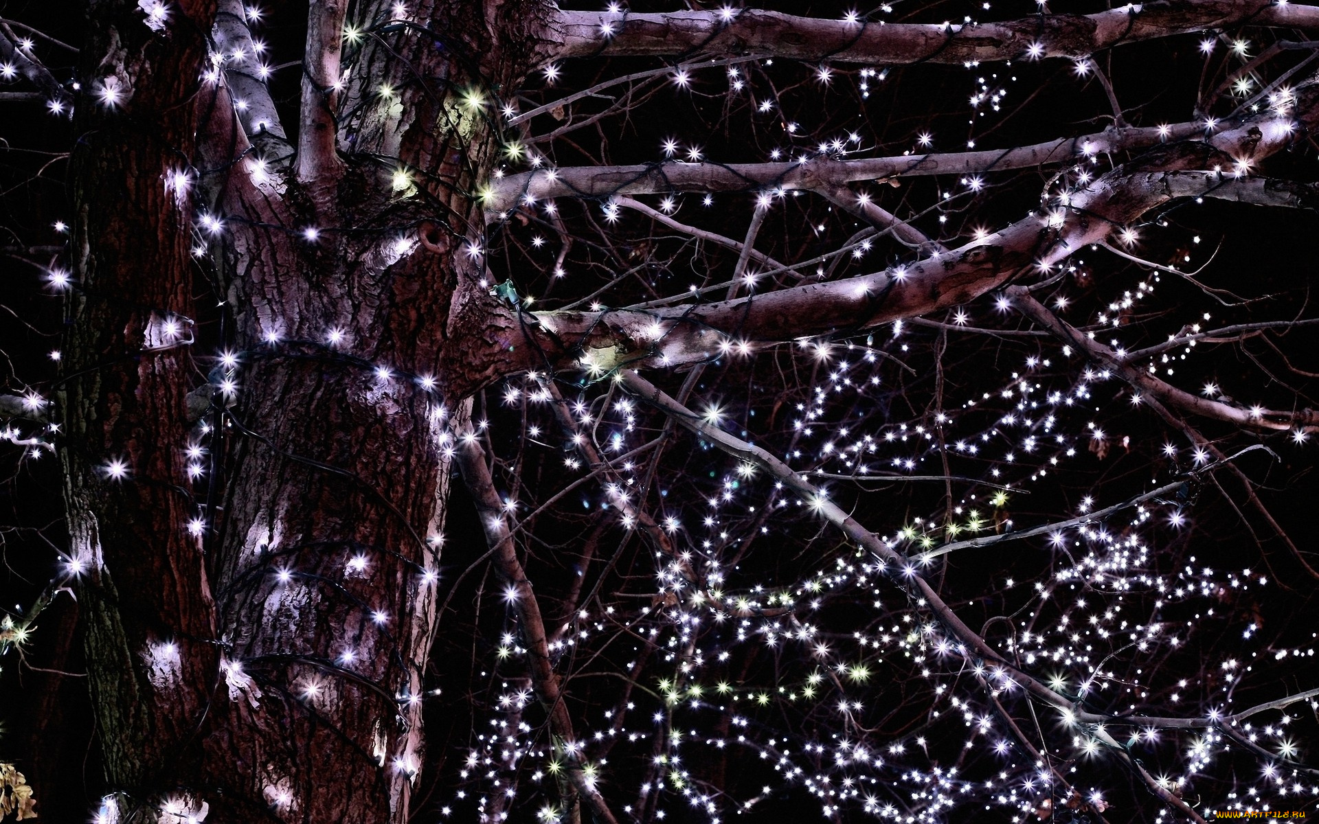 разное, иллюминация, дерево, гирлянда, огни