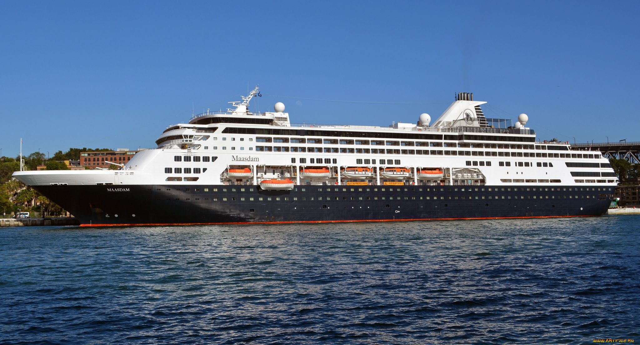 maam, корабли, лайнеры, круиз, лайнер