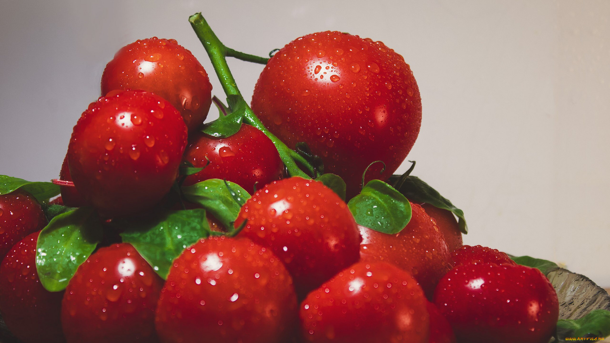 еда, помидоры, снедь