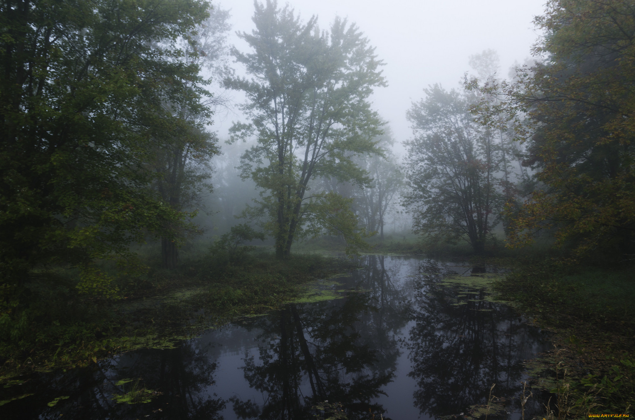 природа, реки, озера, простор