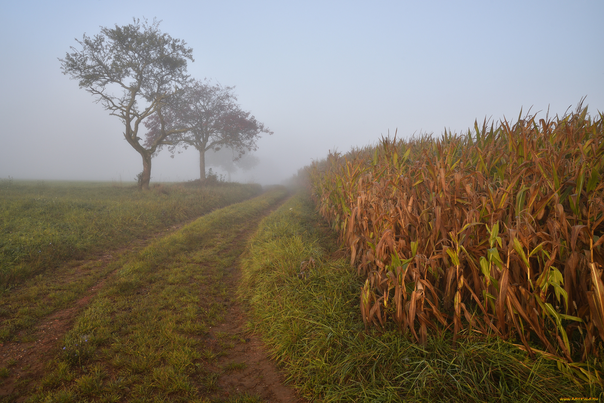 природа, дороги, простор