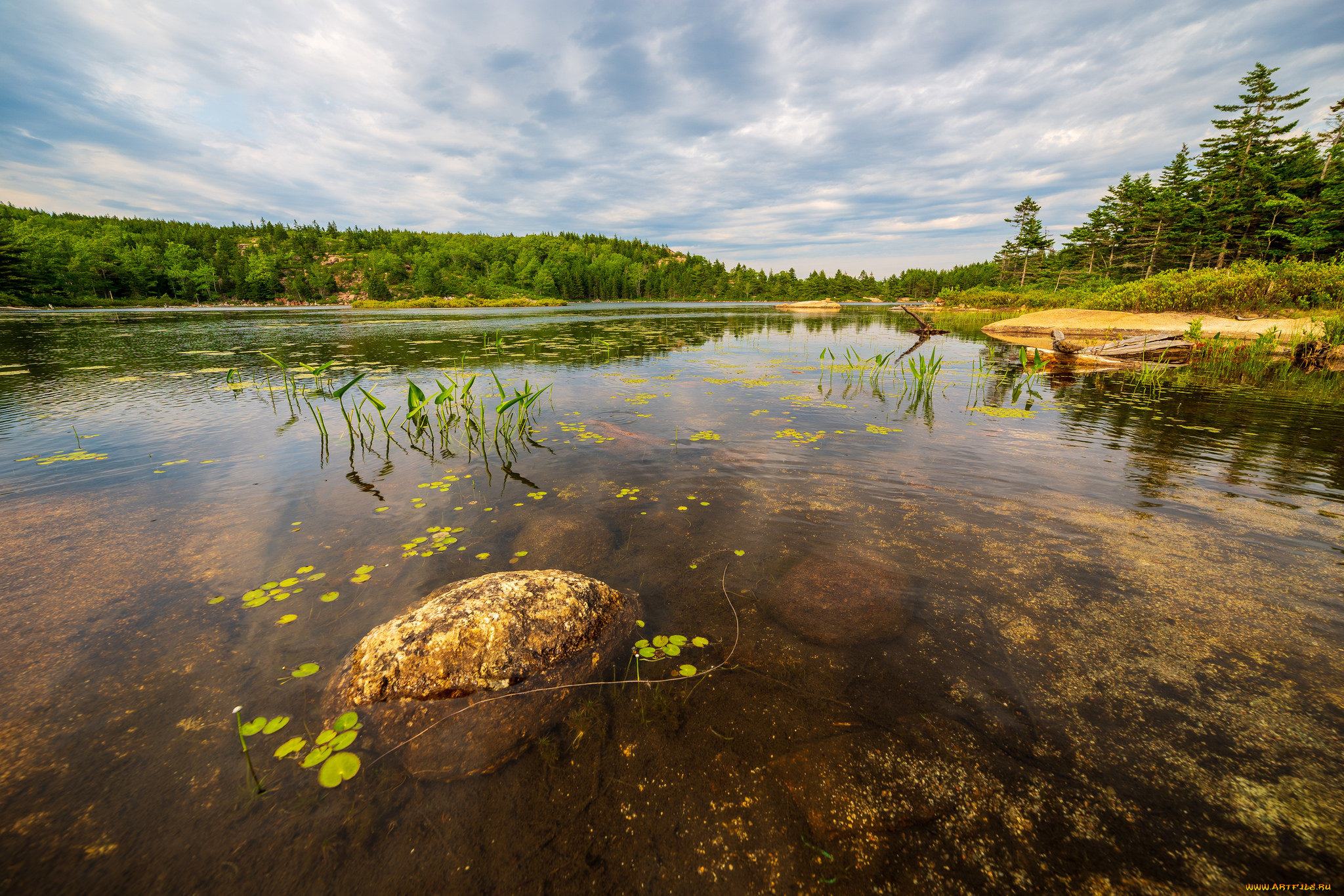 природа, реки, озера, простор