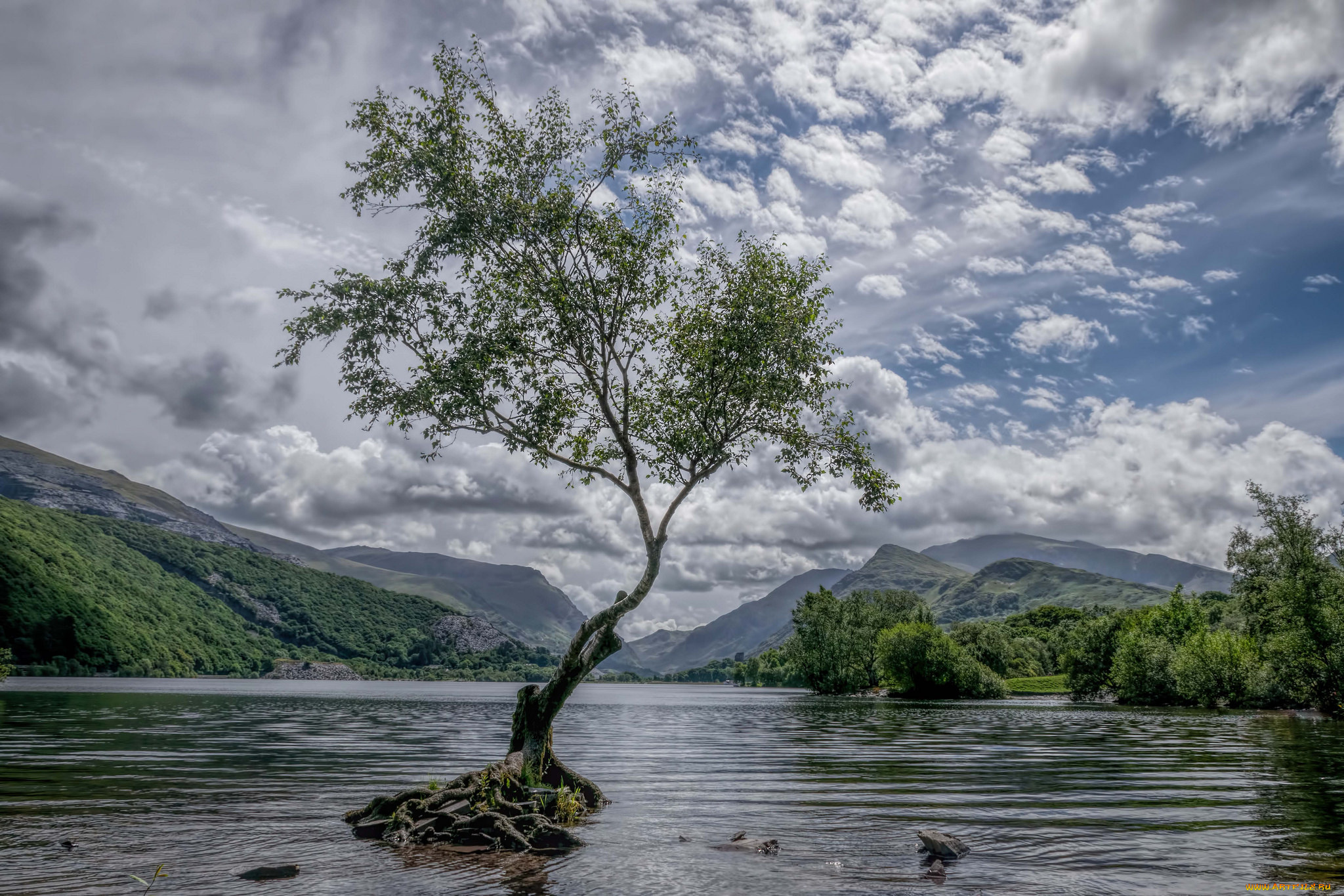 природа, реки, озера, простор