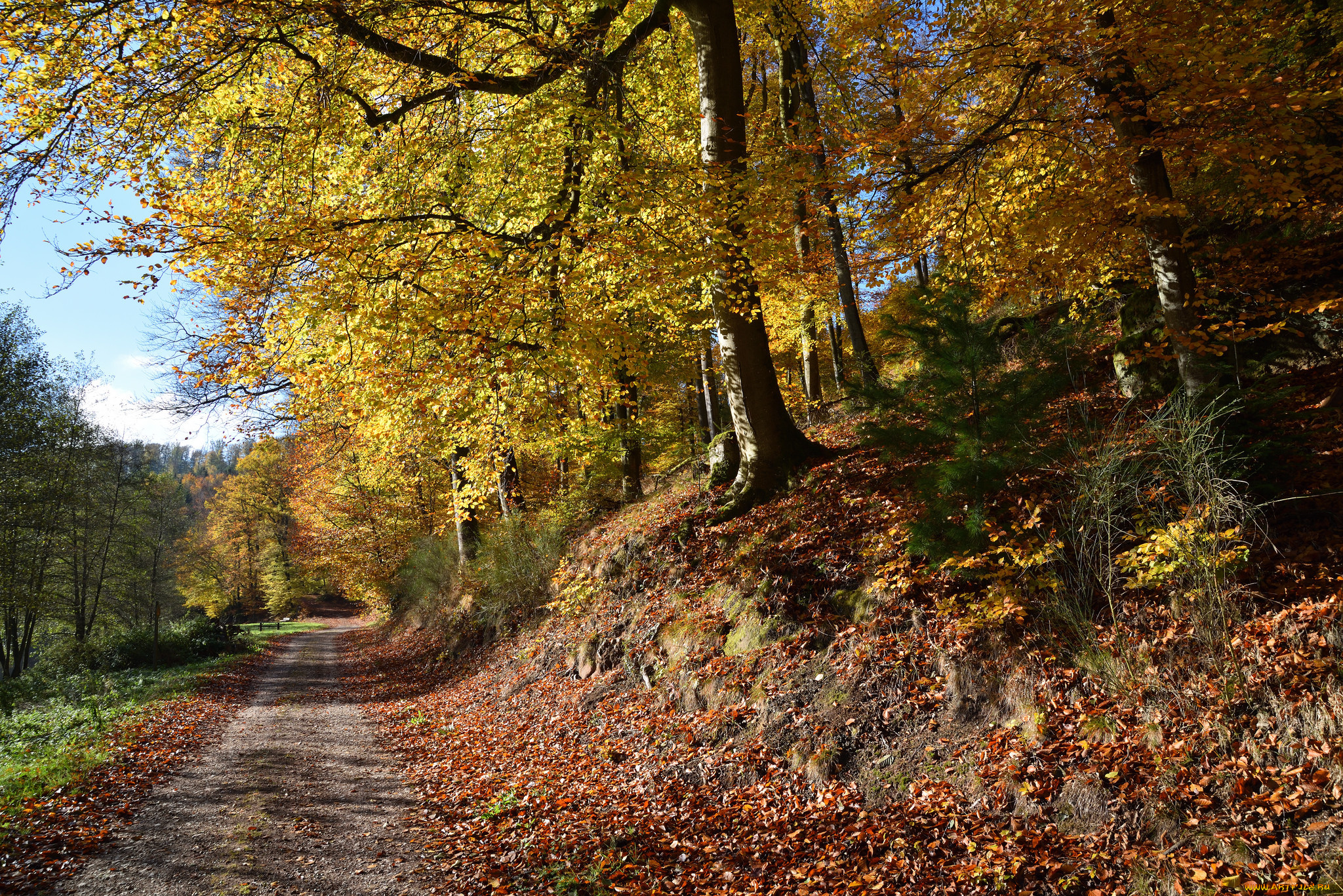 природа, дороги, простор