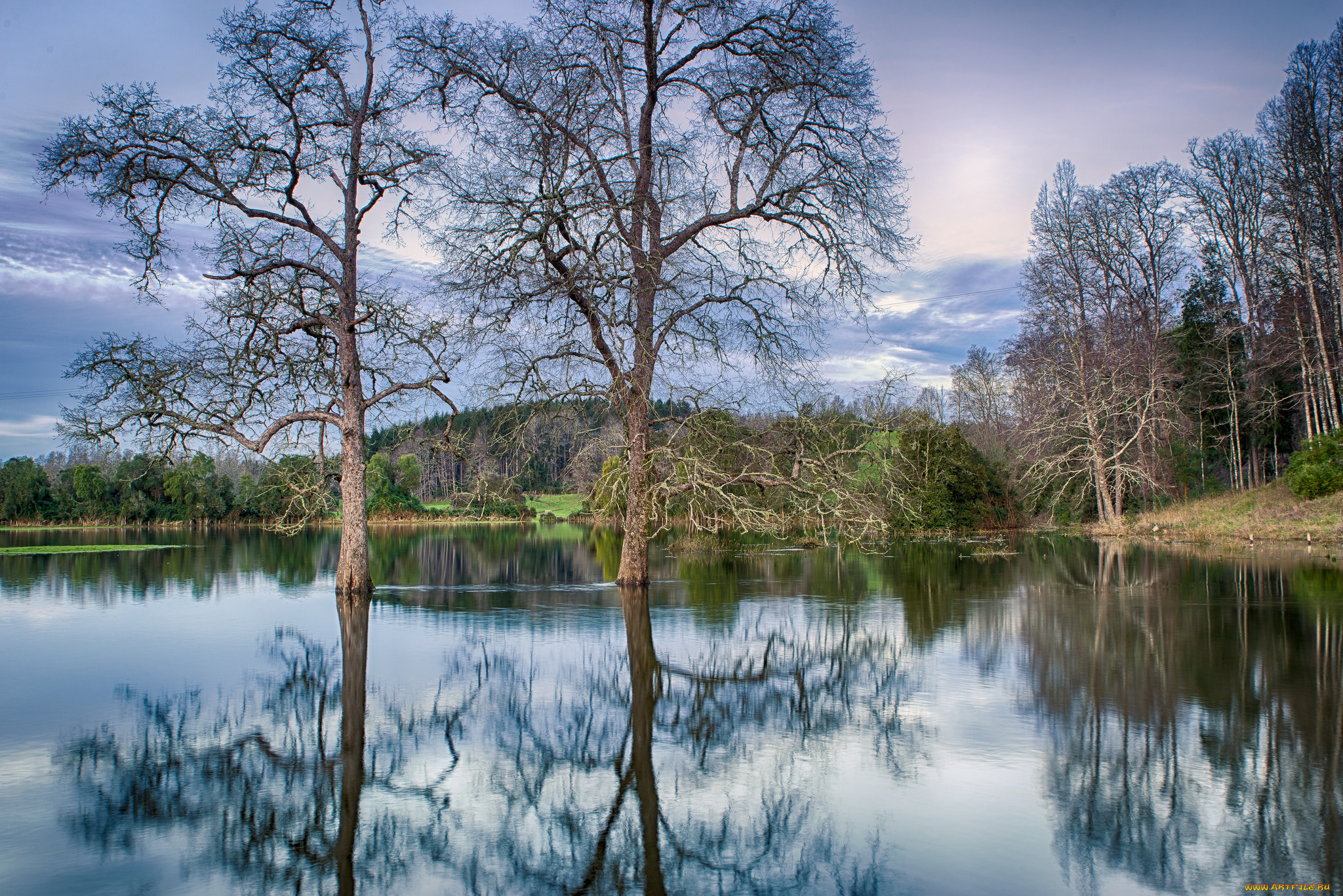 природа, реки, озера, простор