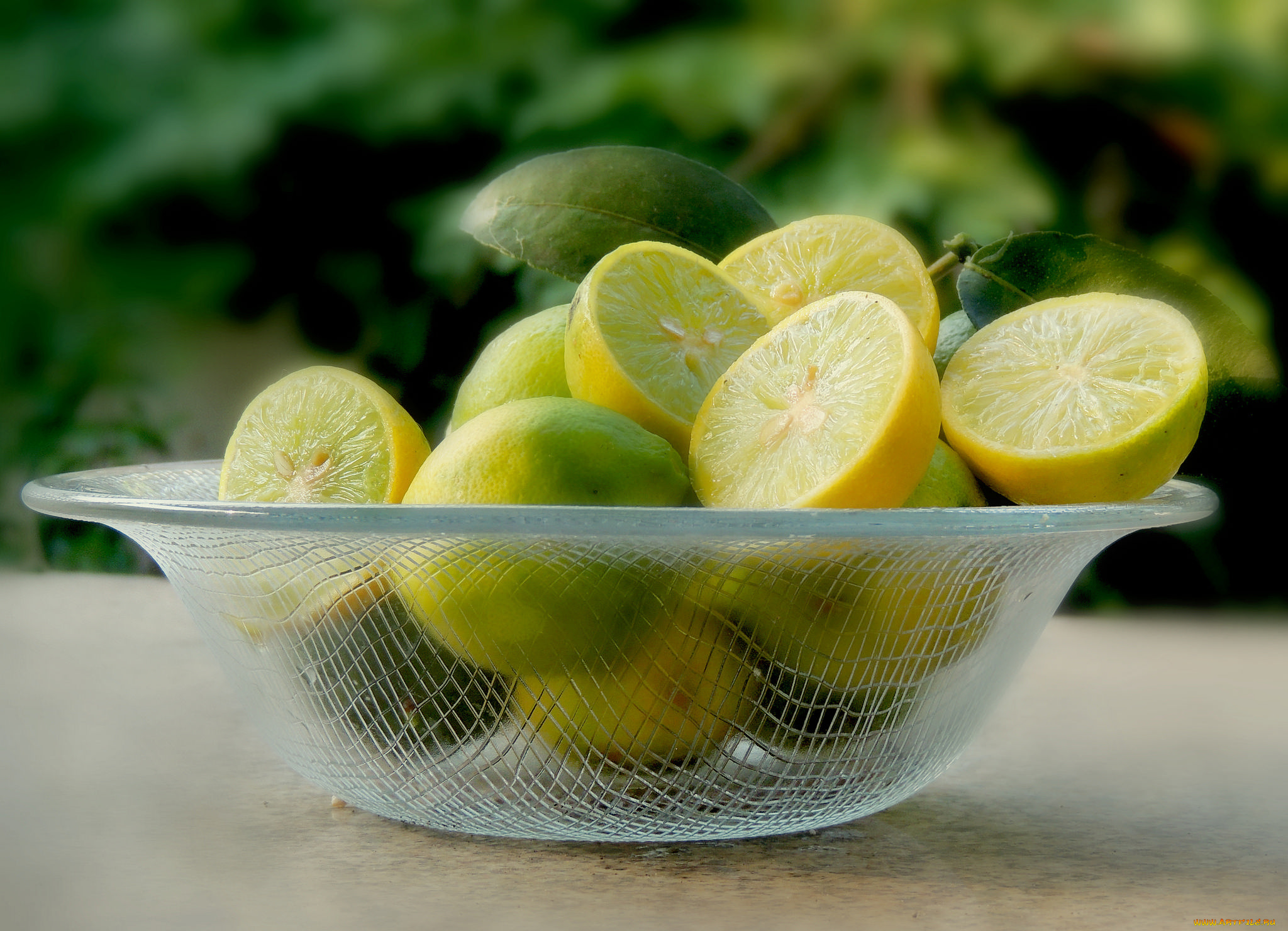 еда, цитрусы, снедь