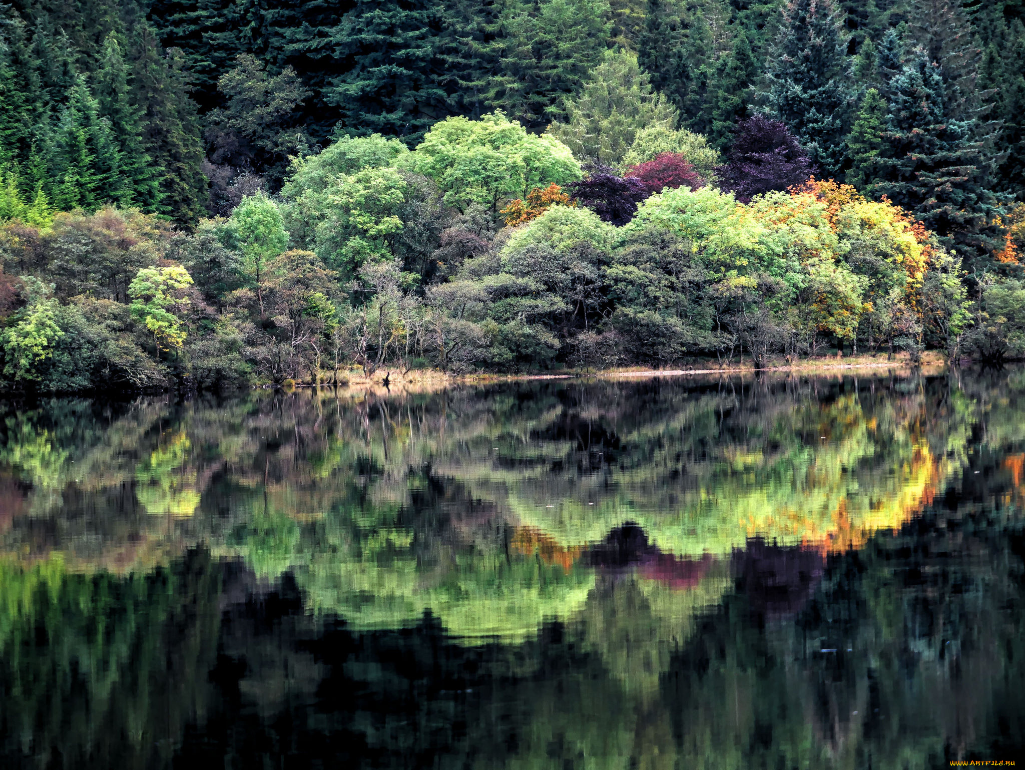 природа, реки, озера, простор