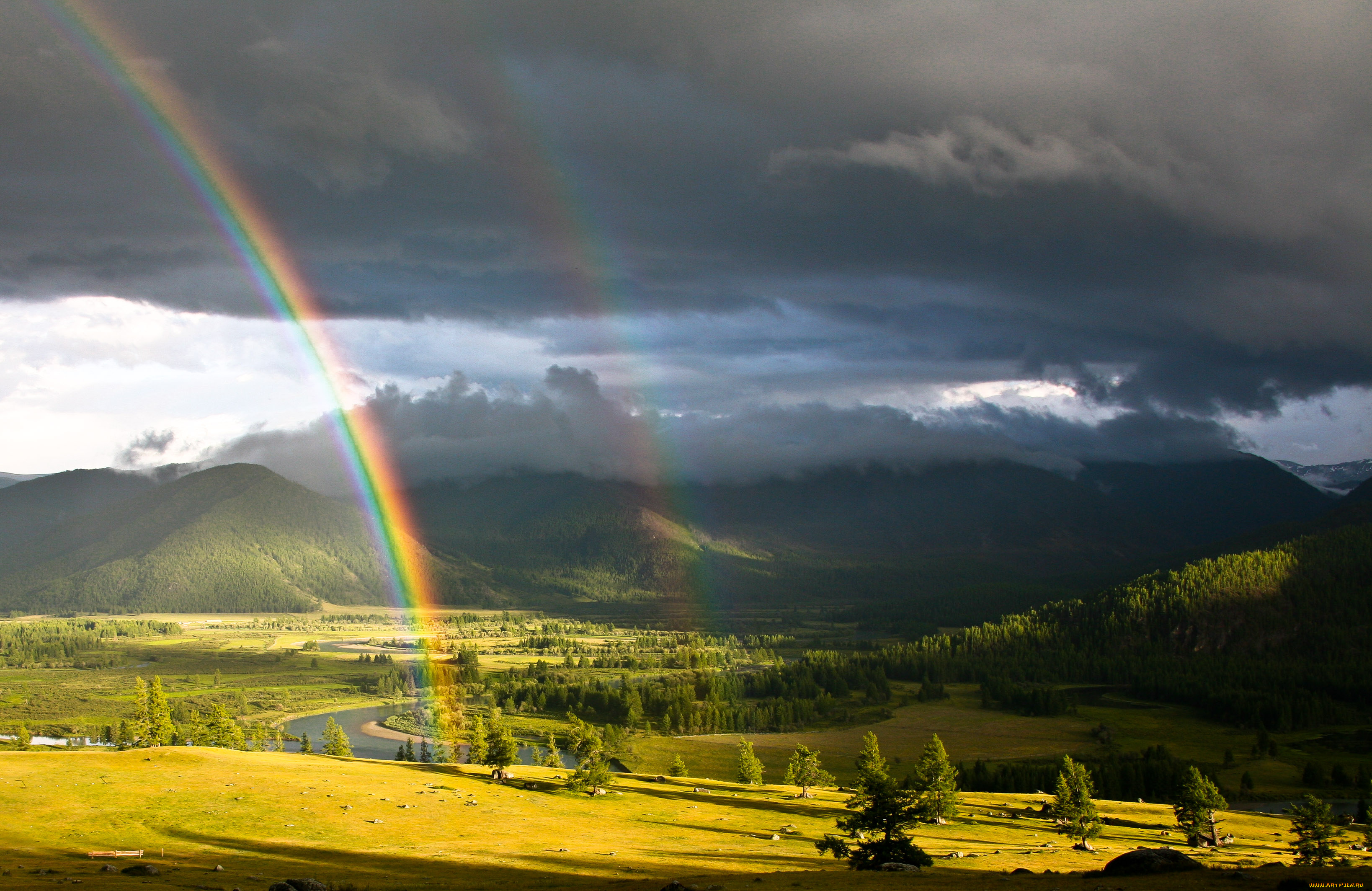 природа, радуга, долина, лес, деревья, река, пейзажи, простор
