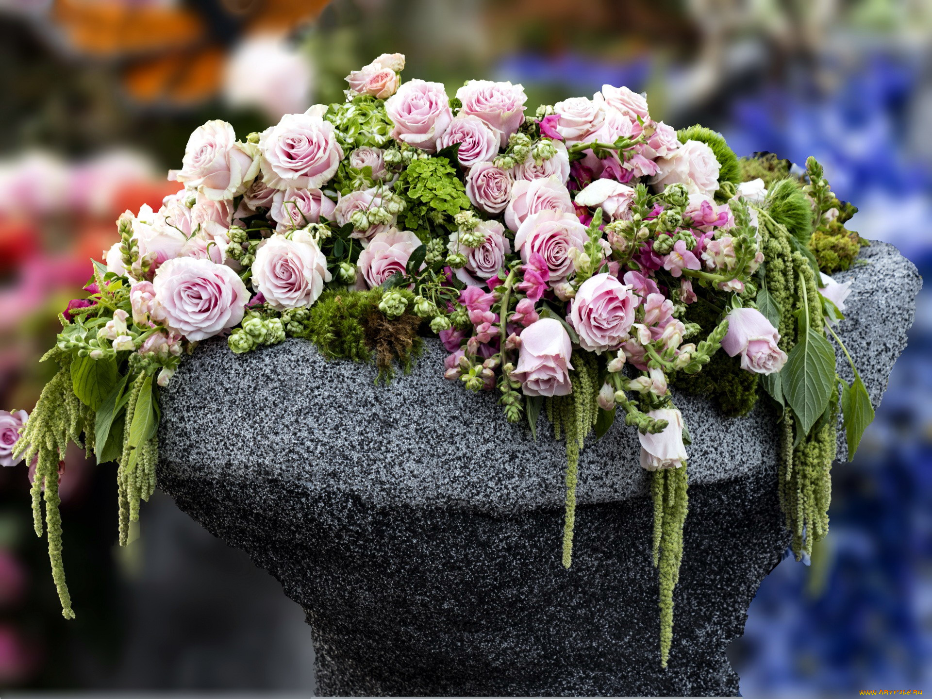 цветы, розы, композиция