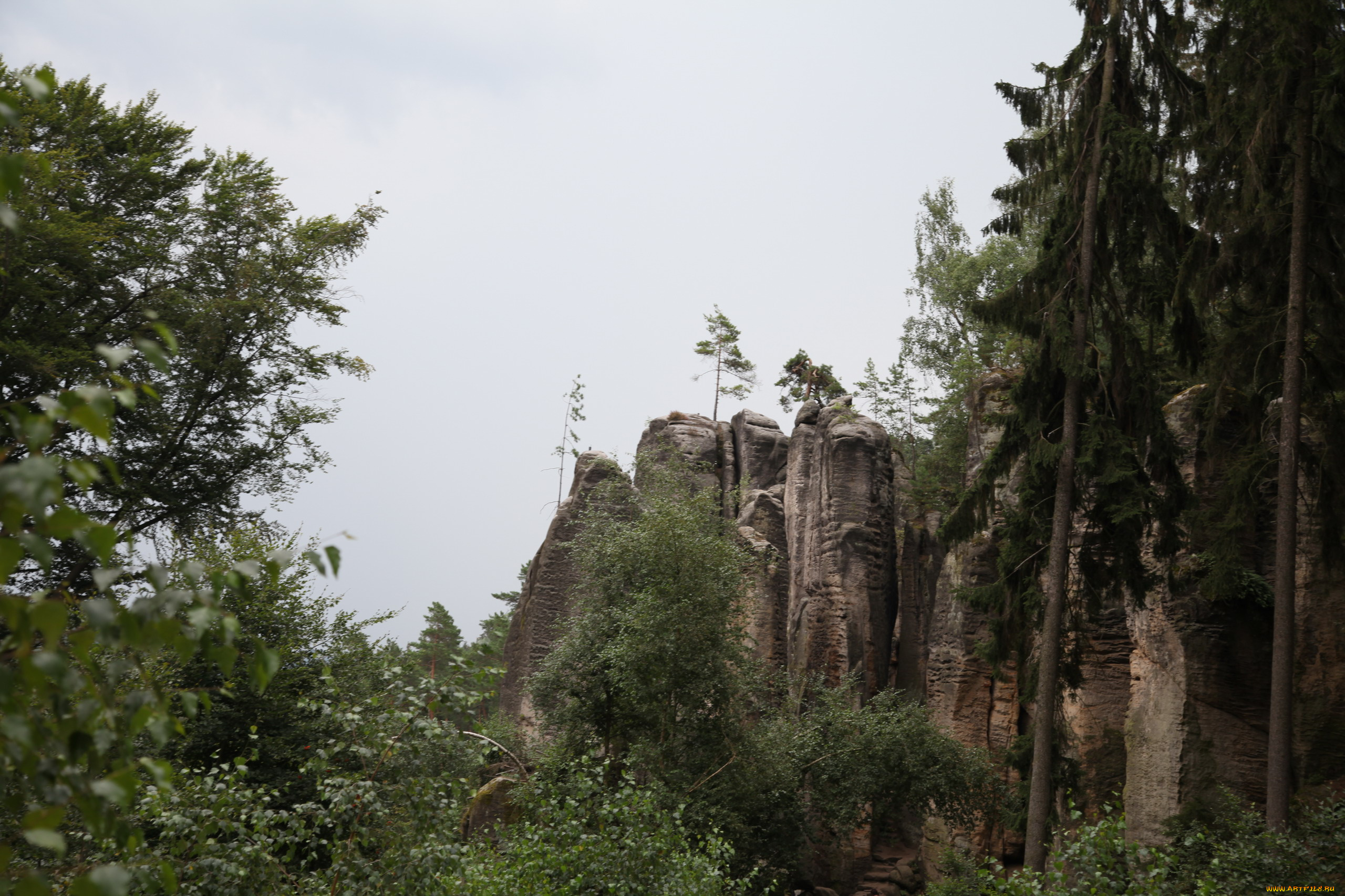 заповедник, чешский, рай, природа, горы, заповедник, чешский, рай