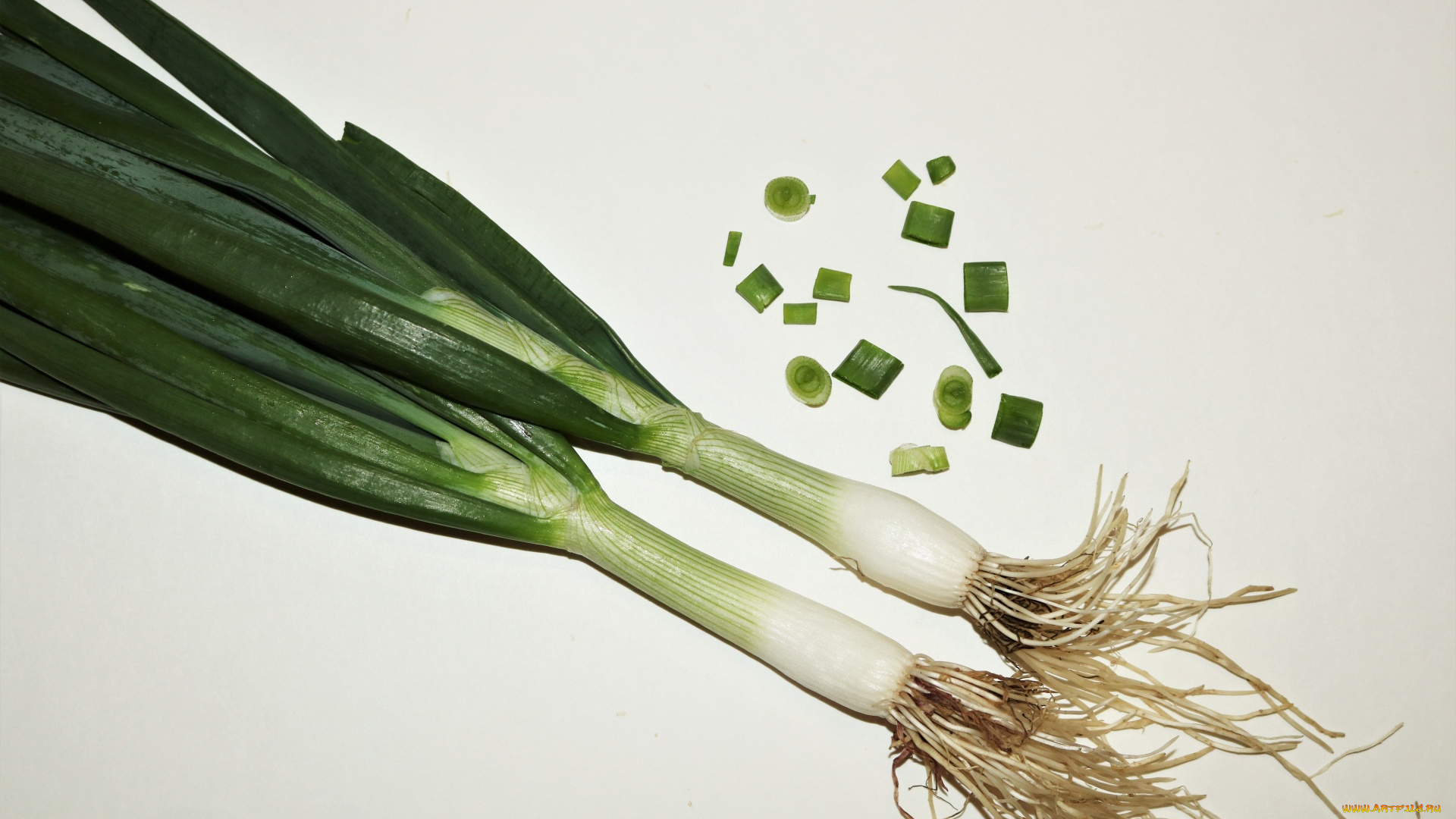 еда, лук, зеленый
