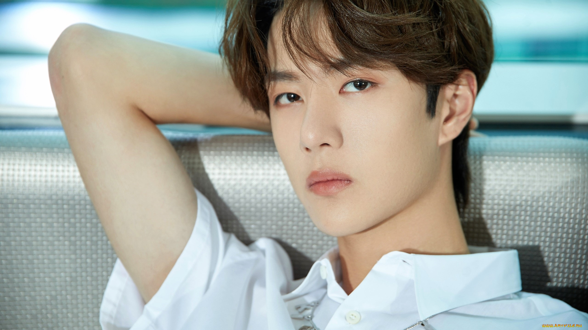 мужчины, wang, yi, bo, актер, лицо, диван