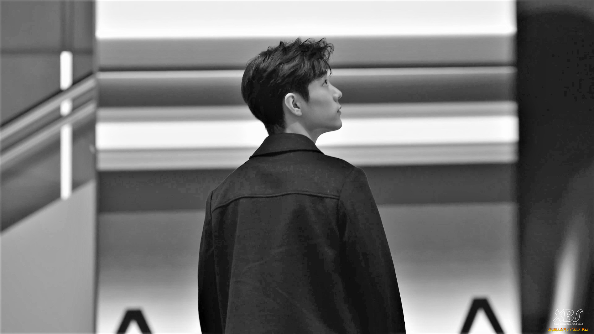 мужчины, xiao, zhan, актер, куртка