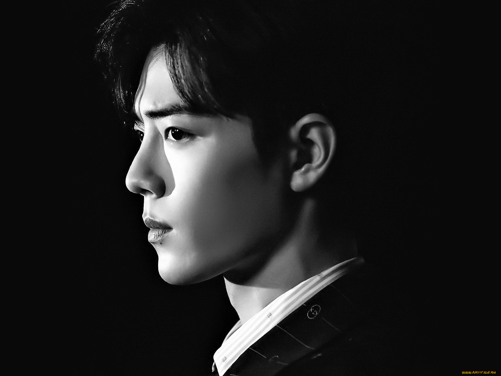 мужчины, xiao, zhan, актер, лицо, профиль