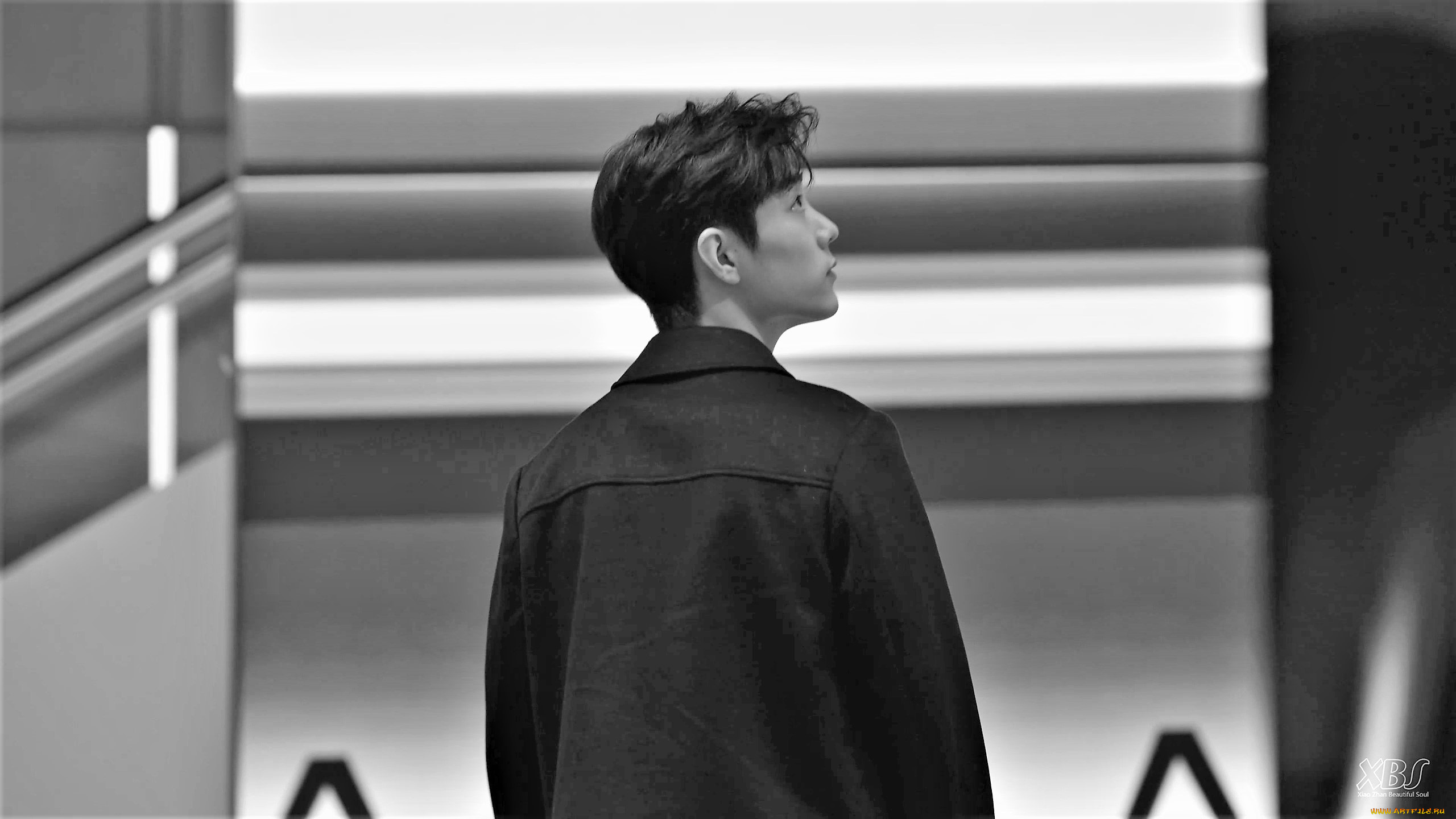 мужчины, xiao, zhan, актер, куртка