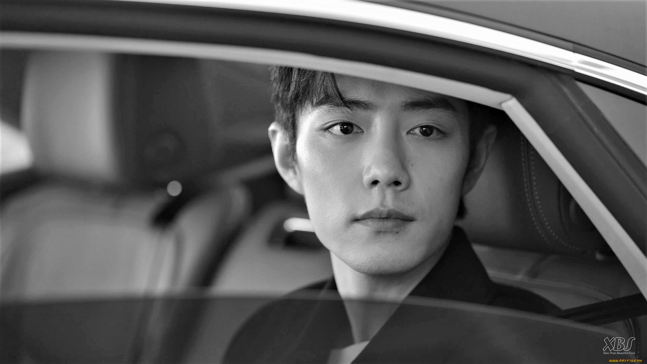 мужчины, xiao, zhan, лицо, машина