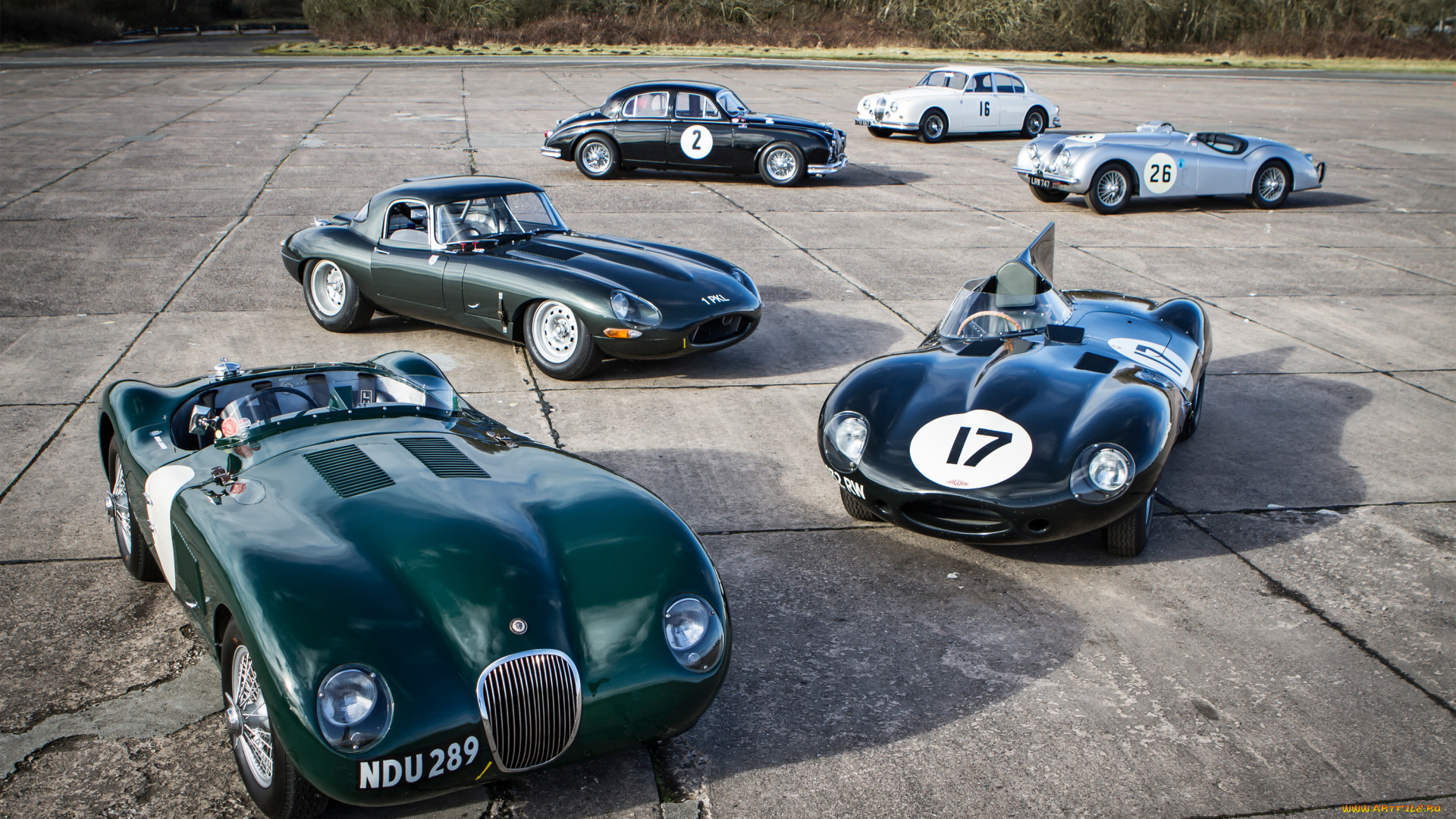 автомобили, jaguar