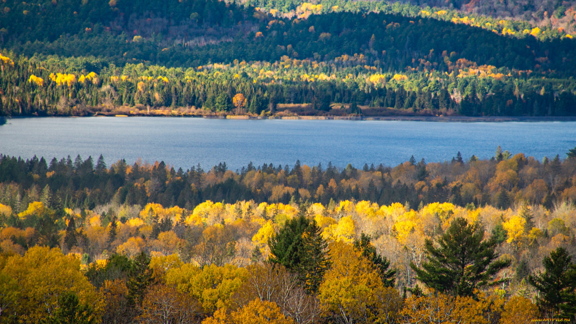 природа, реки, озера, река