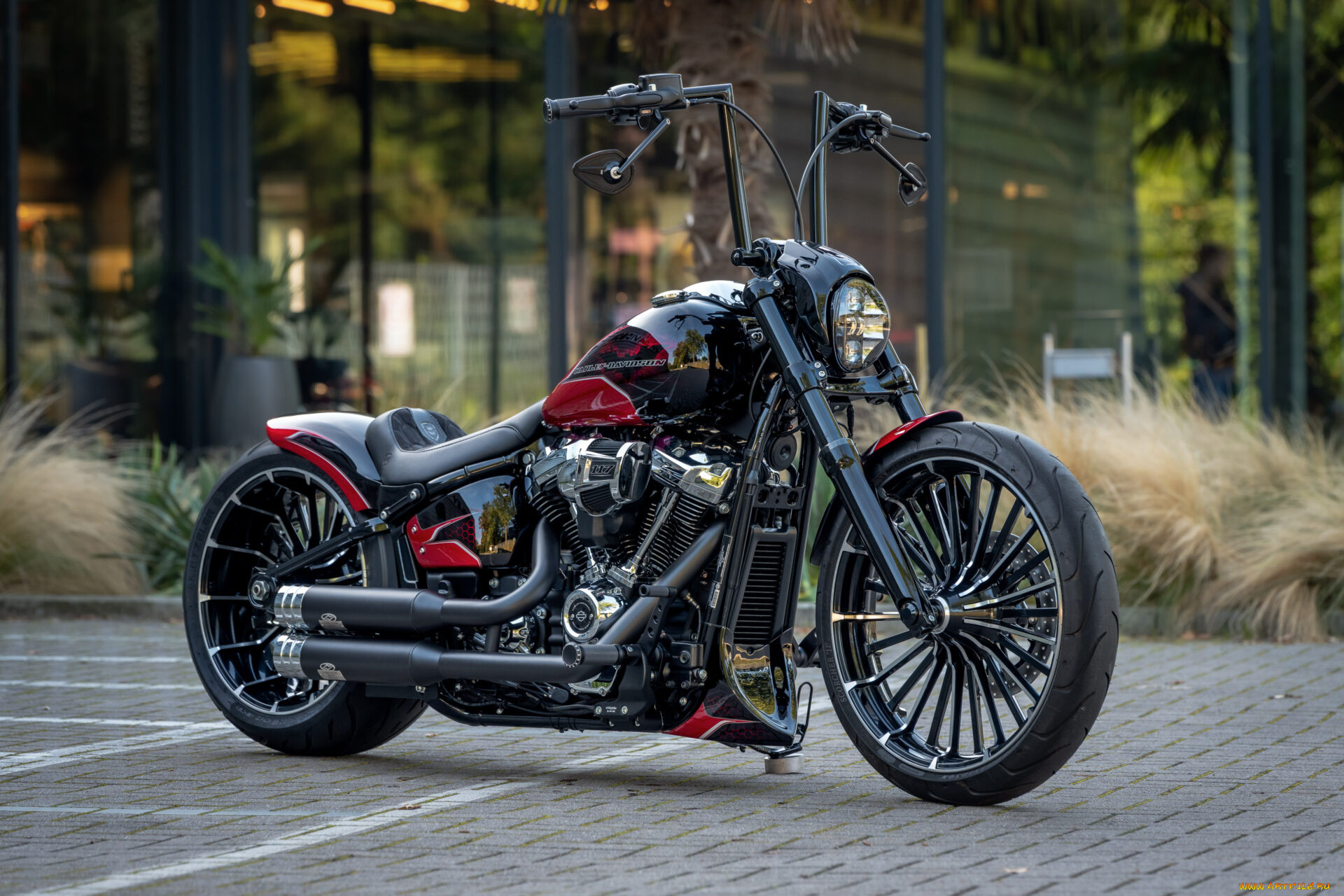 мотоциклы, harley-davidson, softail, breakout, 117, customized, bat, wheeler, tuning, bikes