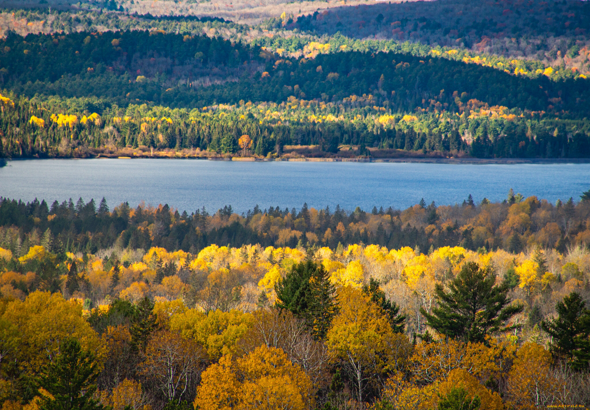 природа, реки, озера, река