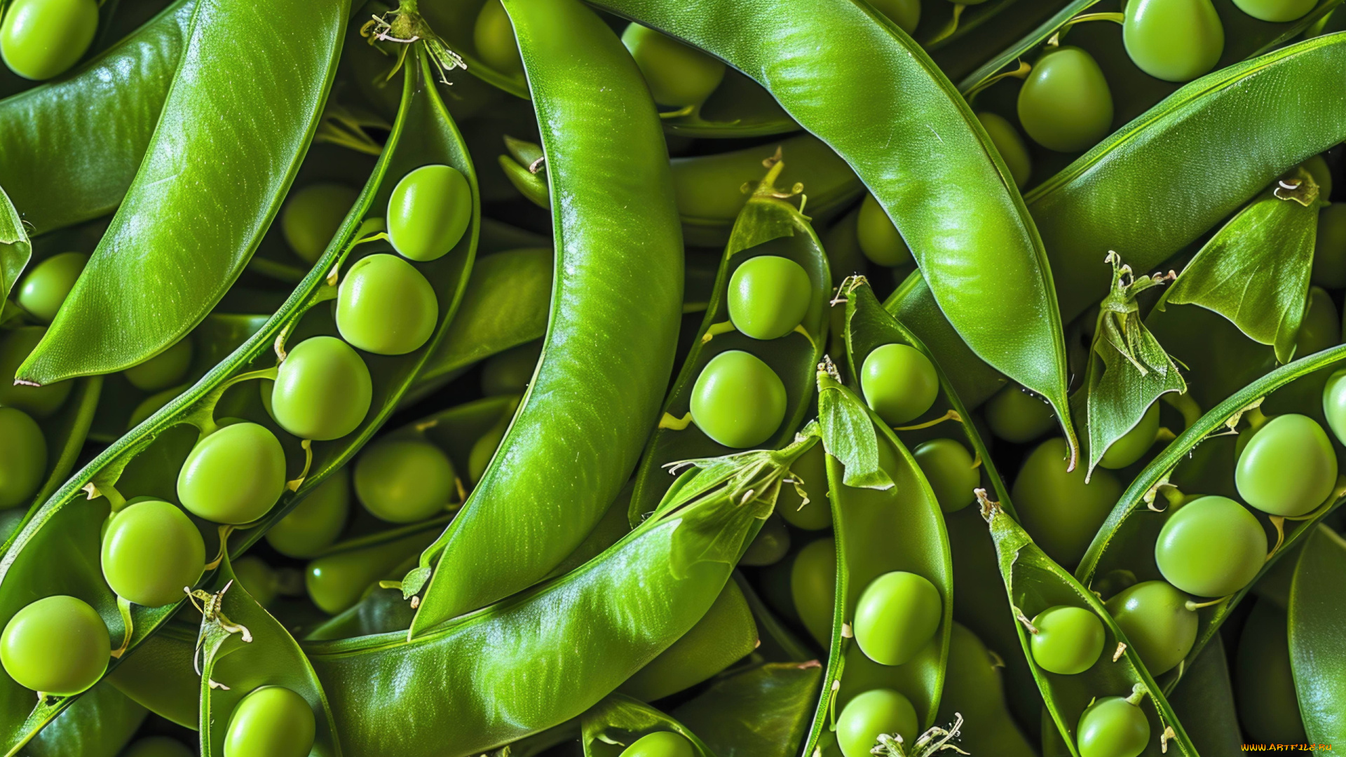 еда, бобовые, стручки, горох, зеленый, макро