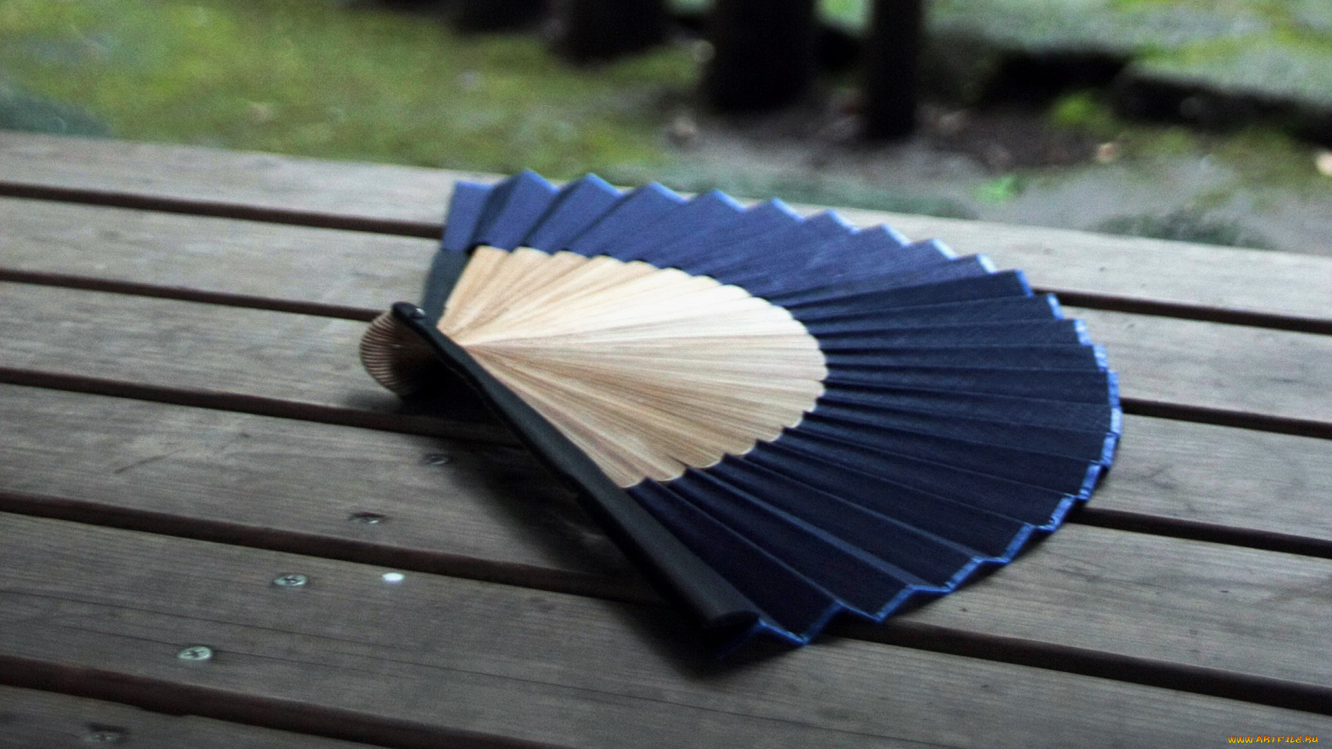 разное, украшения, , аксессуары, , веера, веер