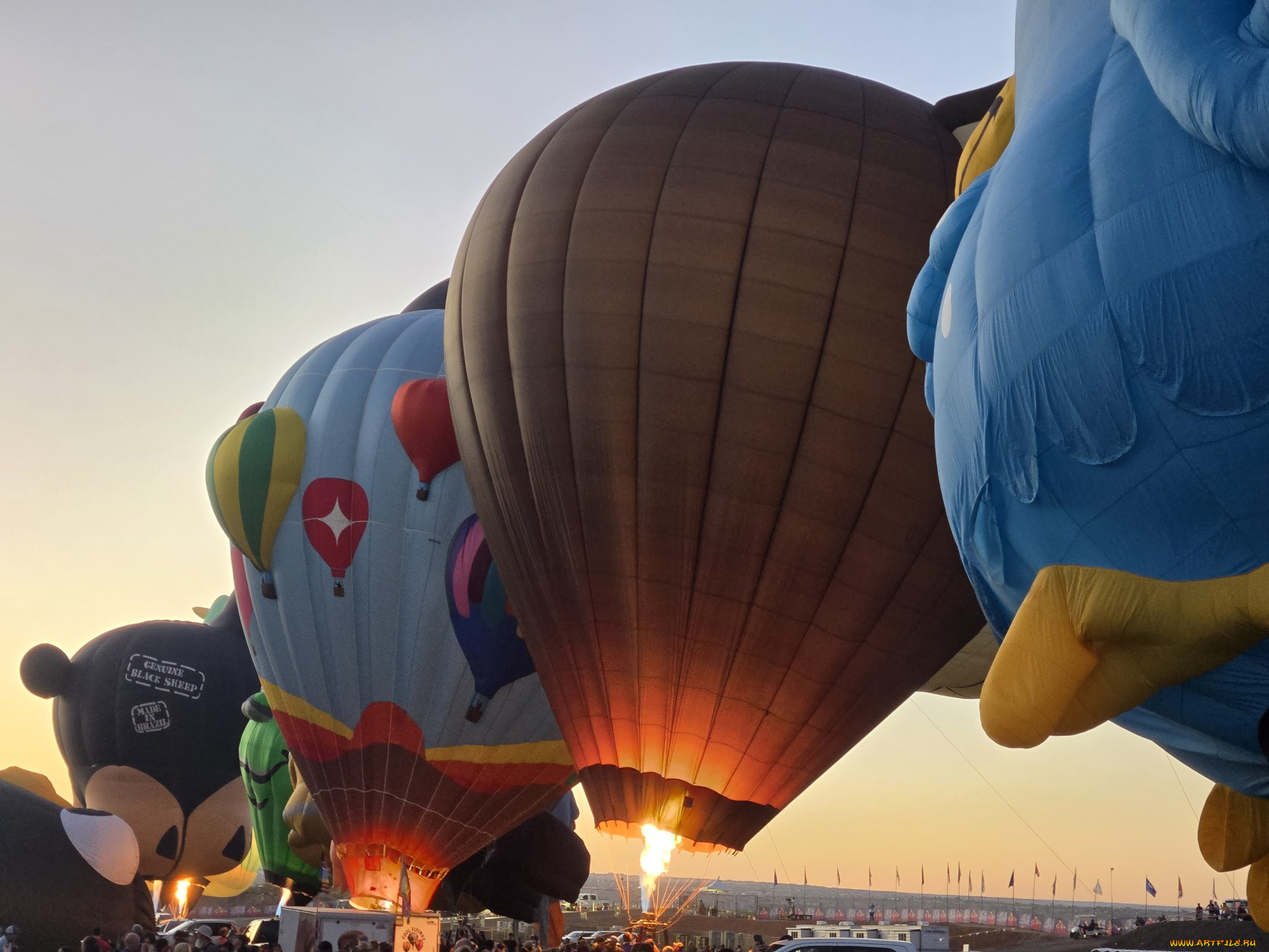 авиация, воздушные, шары, дирижабли, воздушные, шары, подготовка
