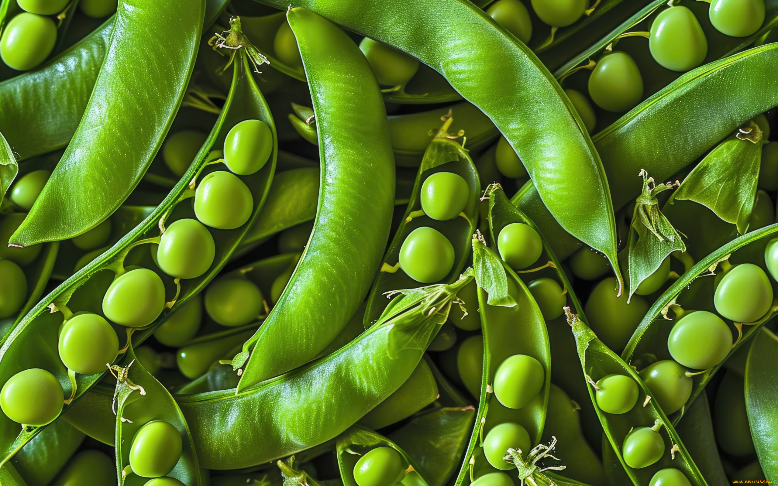 еда, бобовые, стручки, горох, зеленый, макро