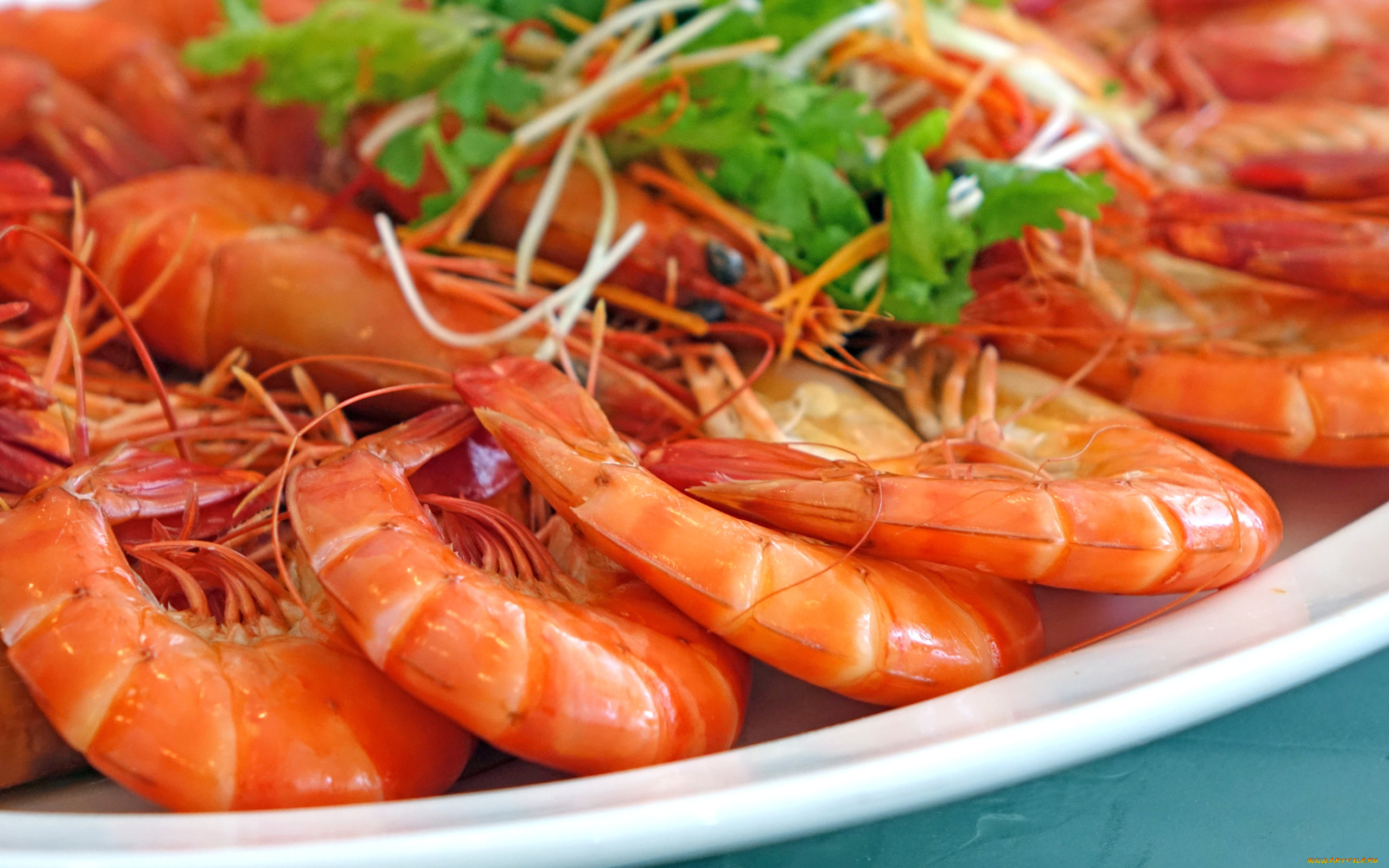еда, рыбные, блюда, , с, морепродуктами, креветки, макро