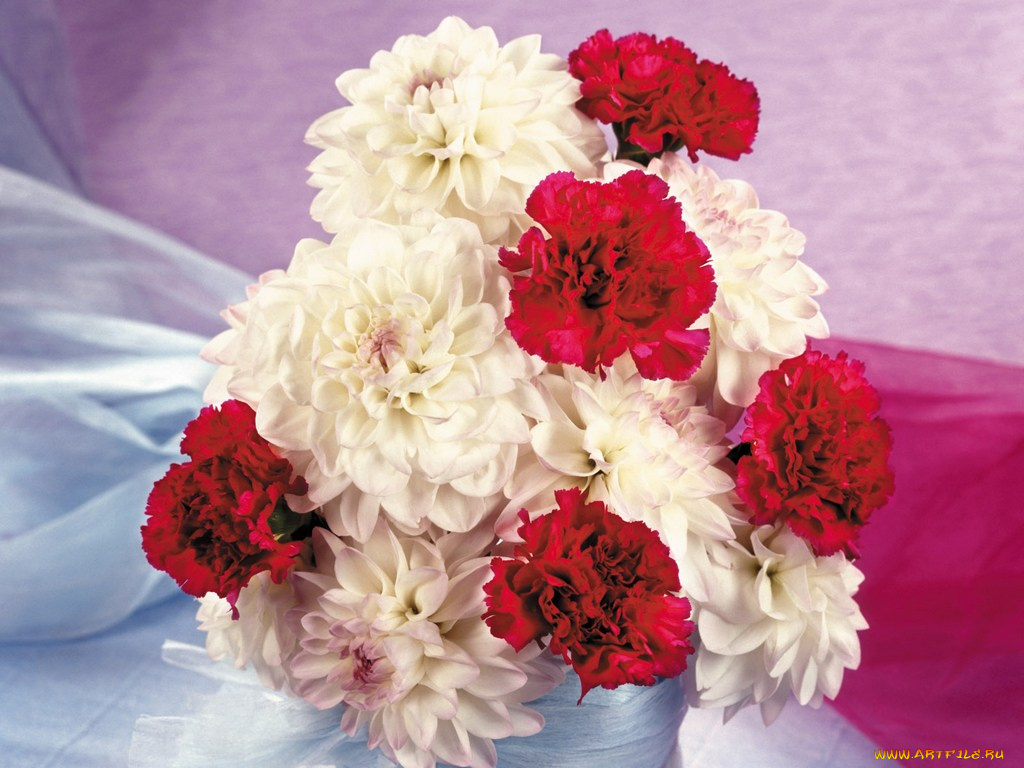 цветы, букеты, композиции