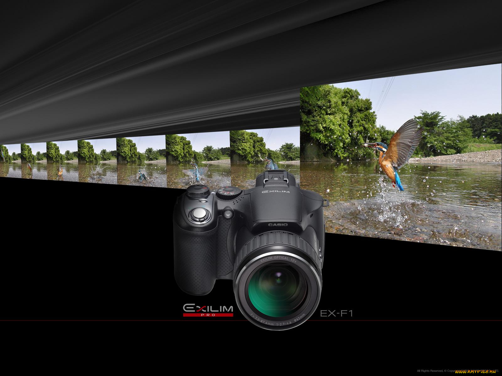 бренды, exilim