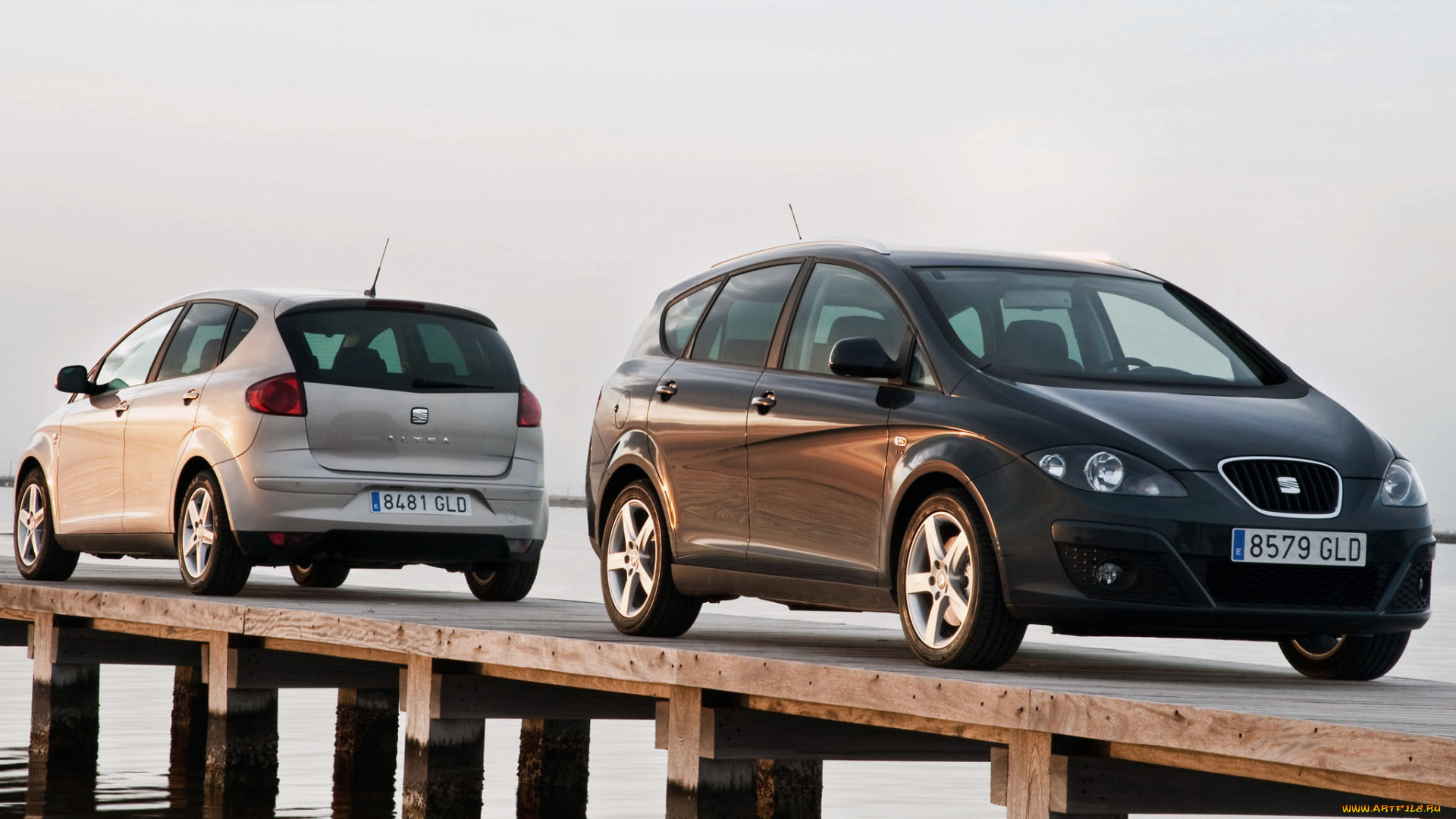 автомобили, seat