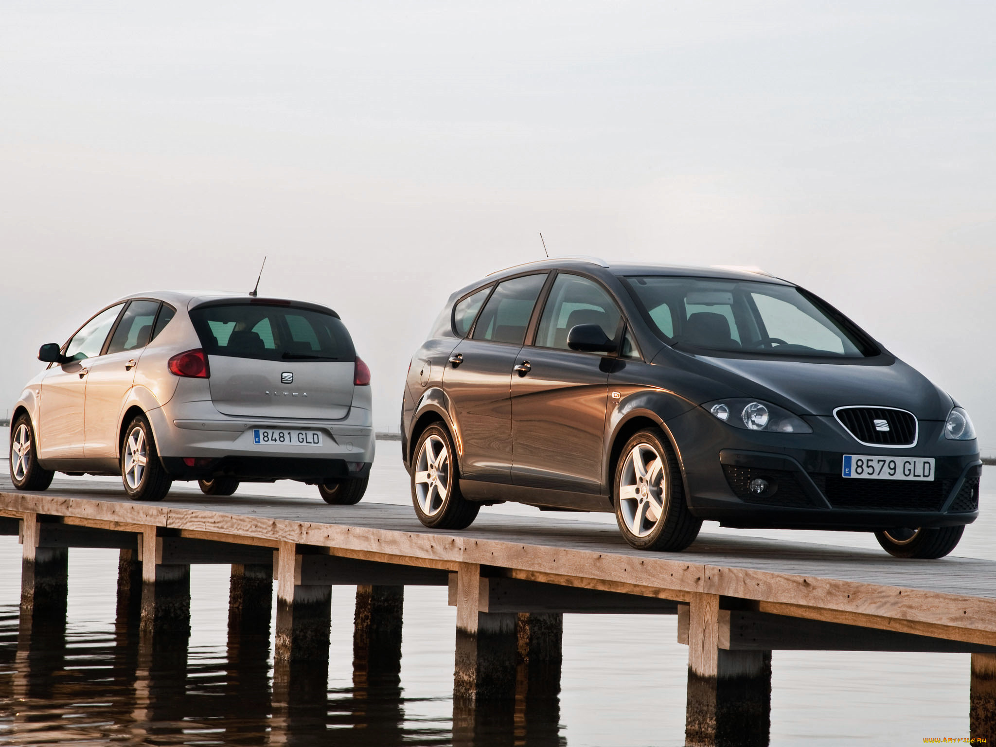 автомобили, seat