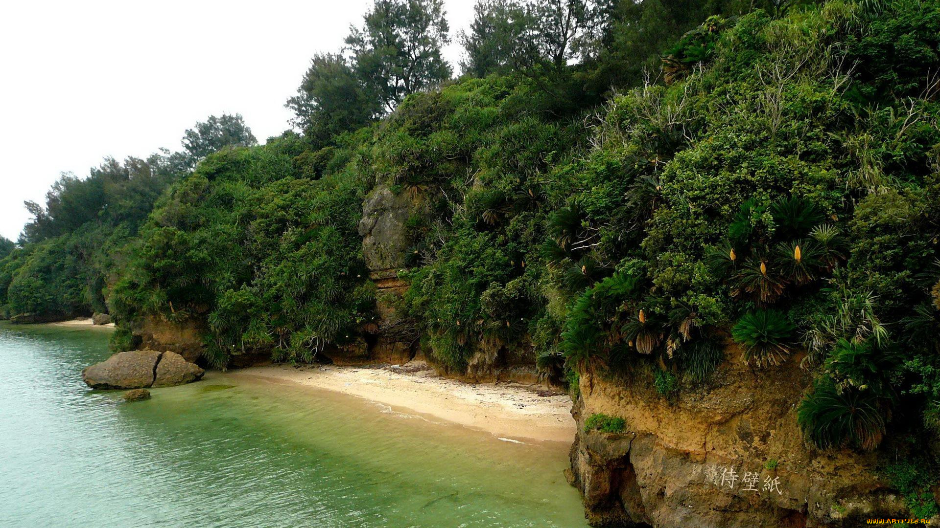 природа, побережье