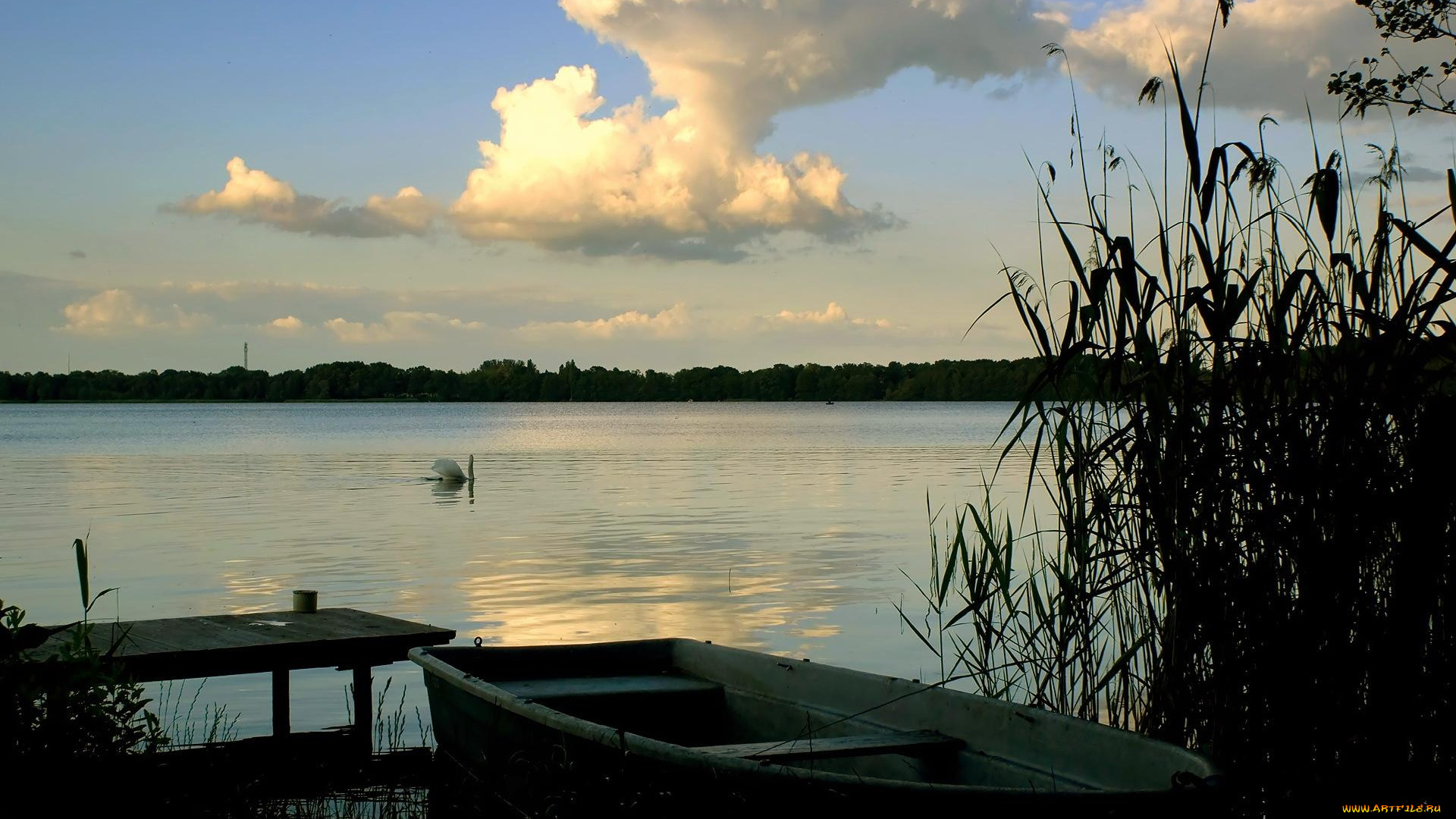 природа, реки, озера