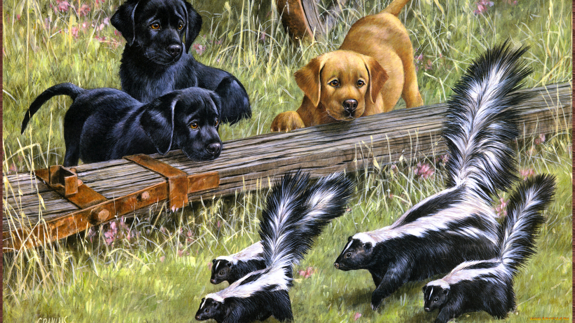 roger, cruwys, puppy, le, pu, рисованные, арт, скунс, щенок