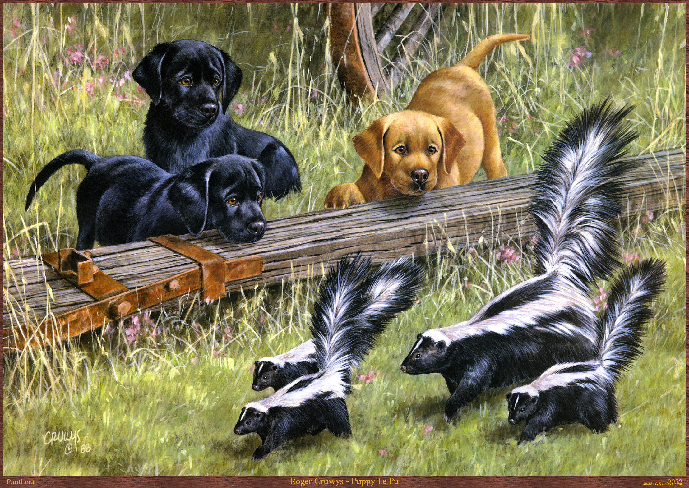 roger, cruwys, puppy, le, pu, рисованные, арт, скунс, щенок