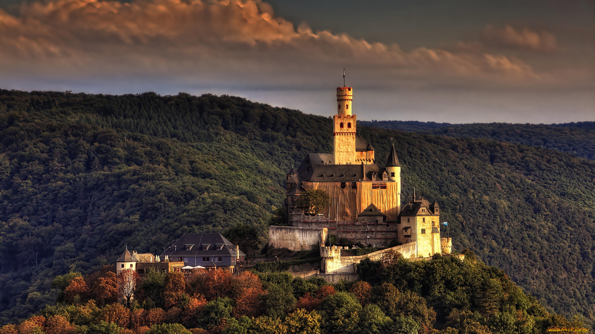 города, дворцы, замки, крепости, лес, германия, замок, marksburg, castle, braubach, germany