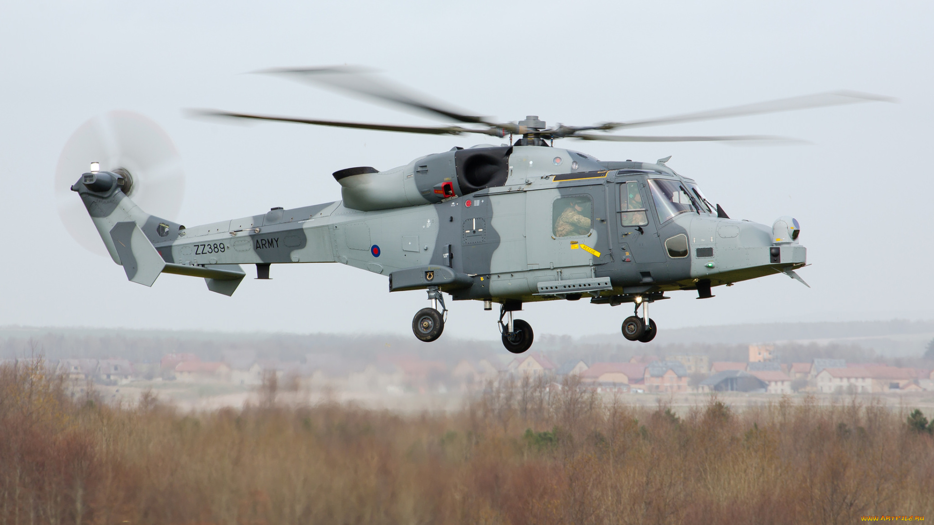 ah-11, wildcat, авиация, вертолёты, многоцелевой, великобритания, военный, вертолет