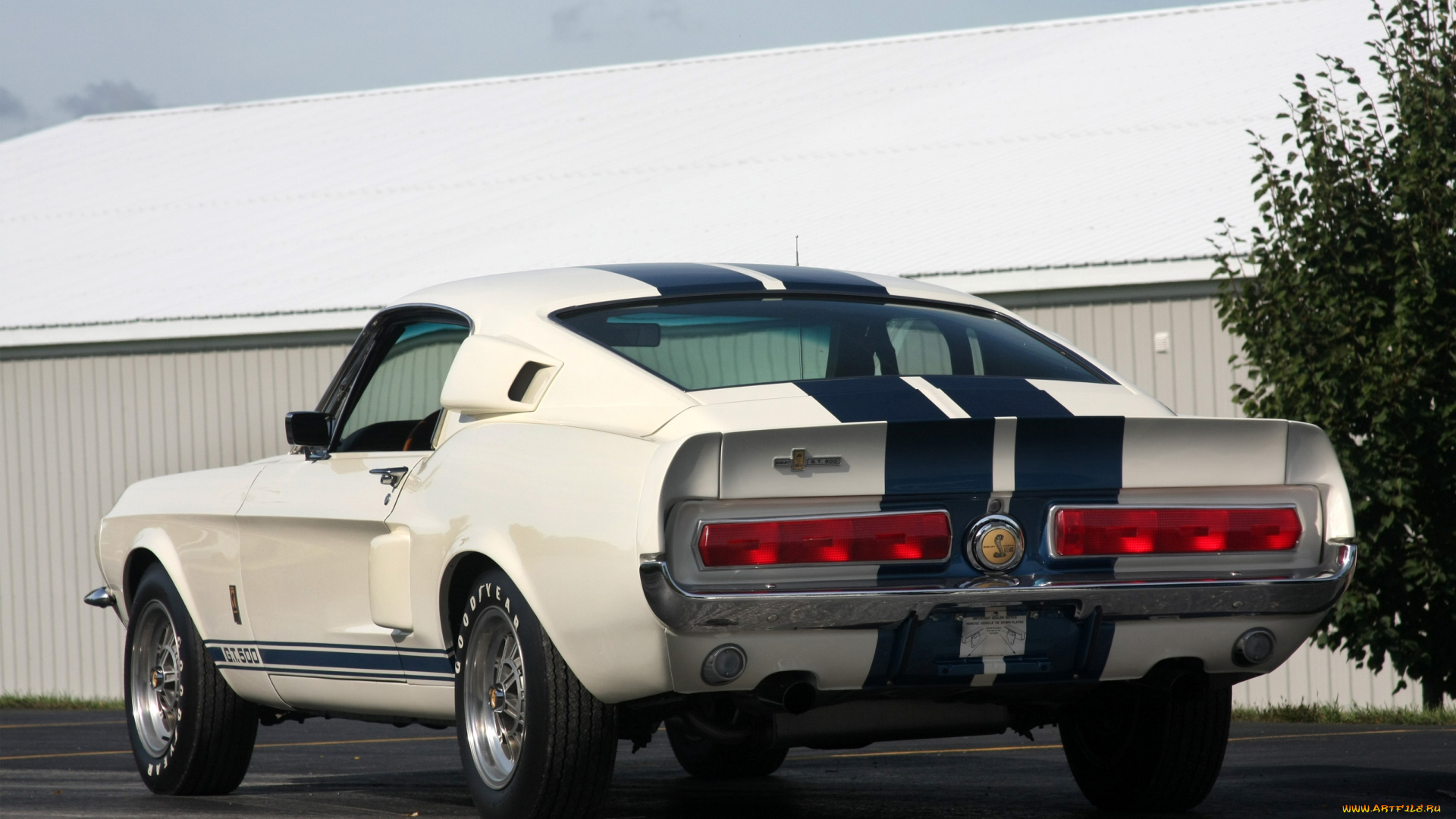 автомобили, mustang, gt