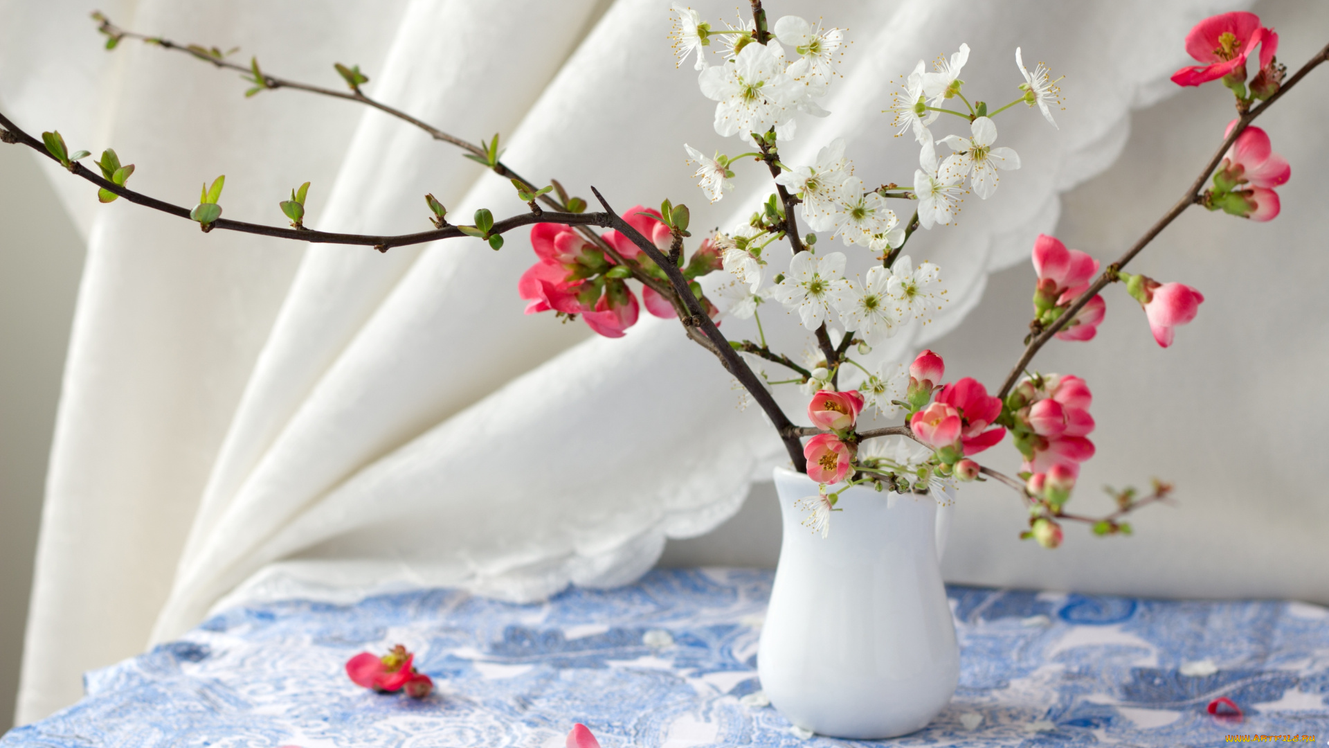 цветы, цветущие, деревья, , , кустарники, айва, вишня