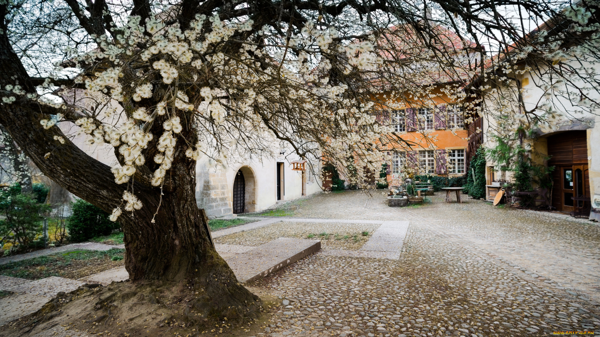 города, -, здания, , дома, весна