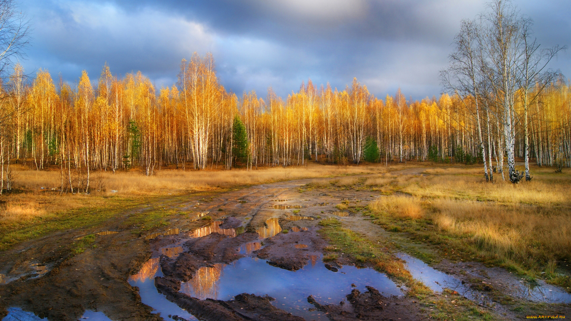 природа, дороги, осень