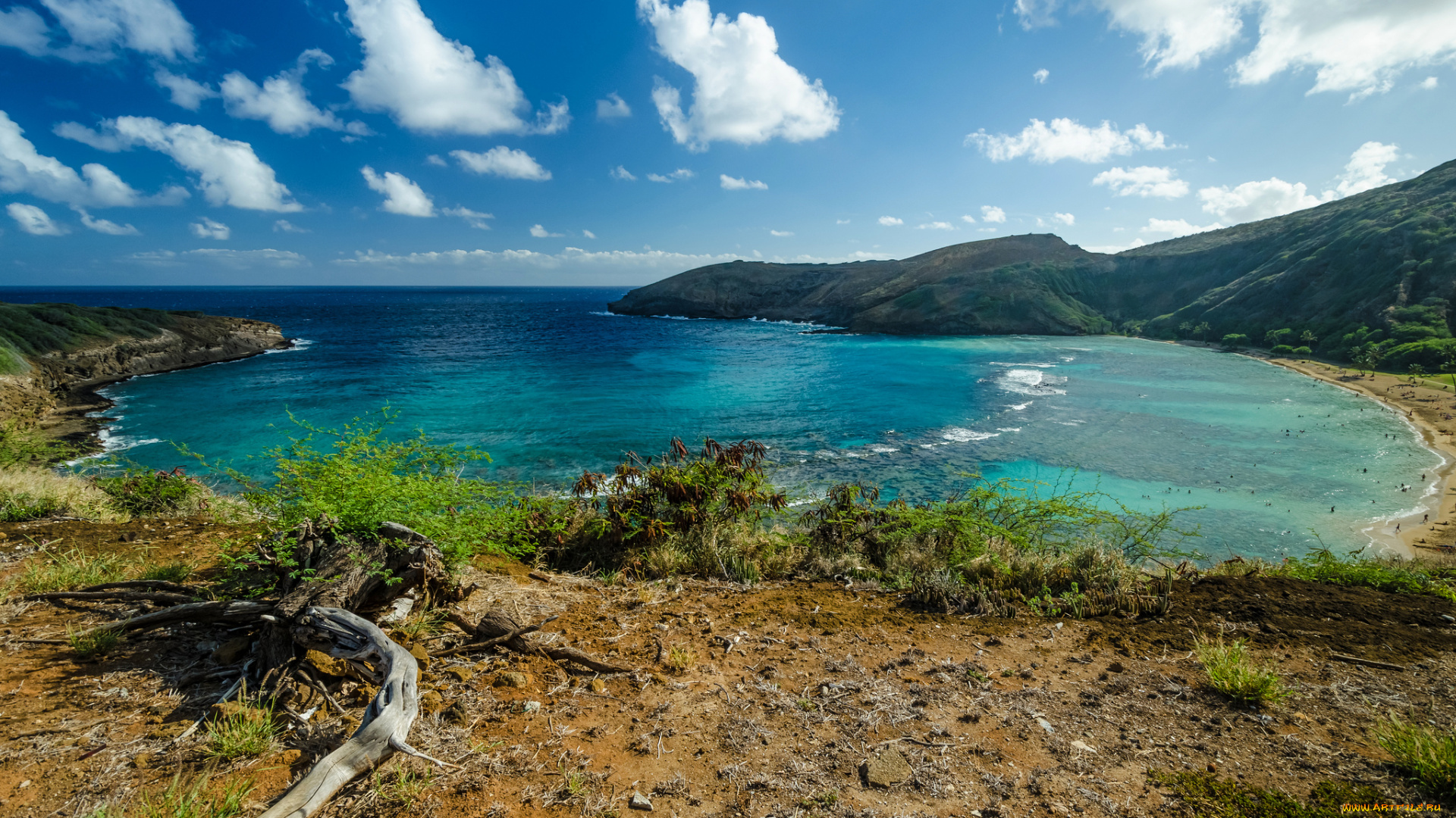 природа, побережье, бухта, океан, пляж